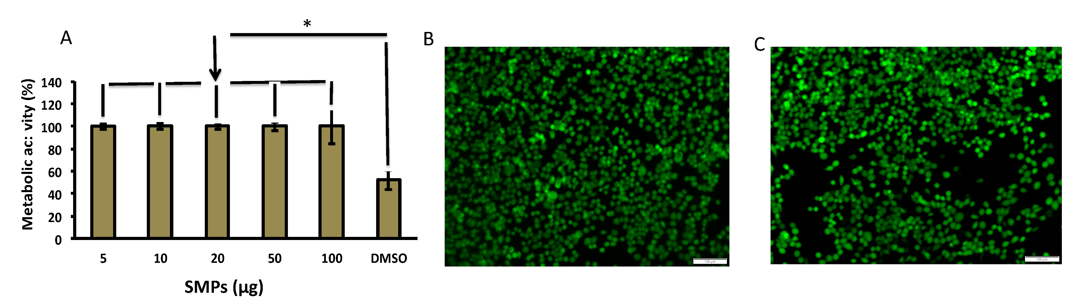 Pharmaceutics 13 00062 g005