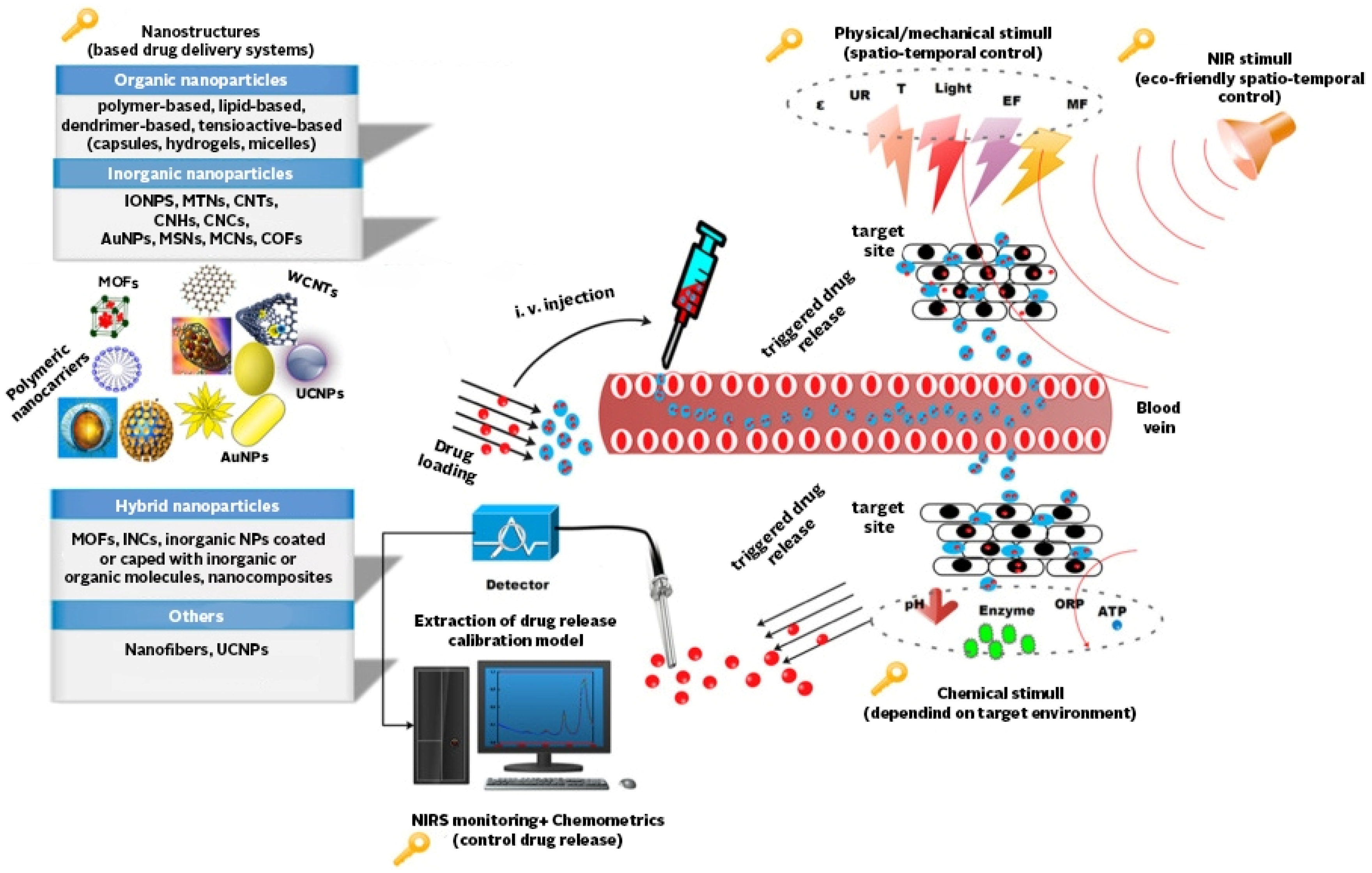 Pharmaceutics 13 00064 g002