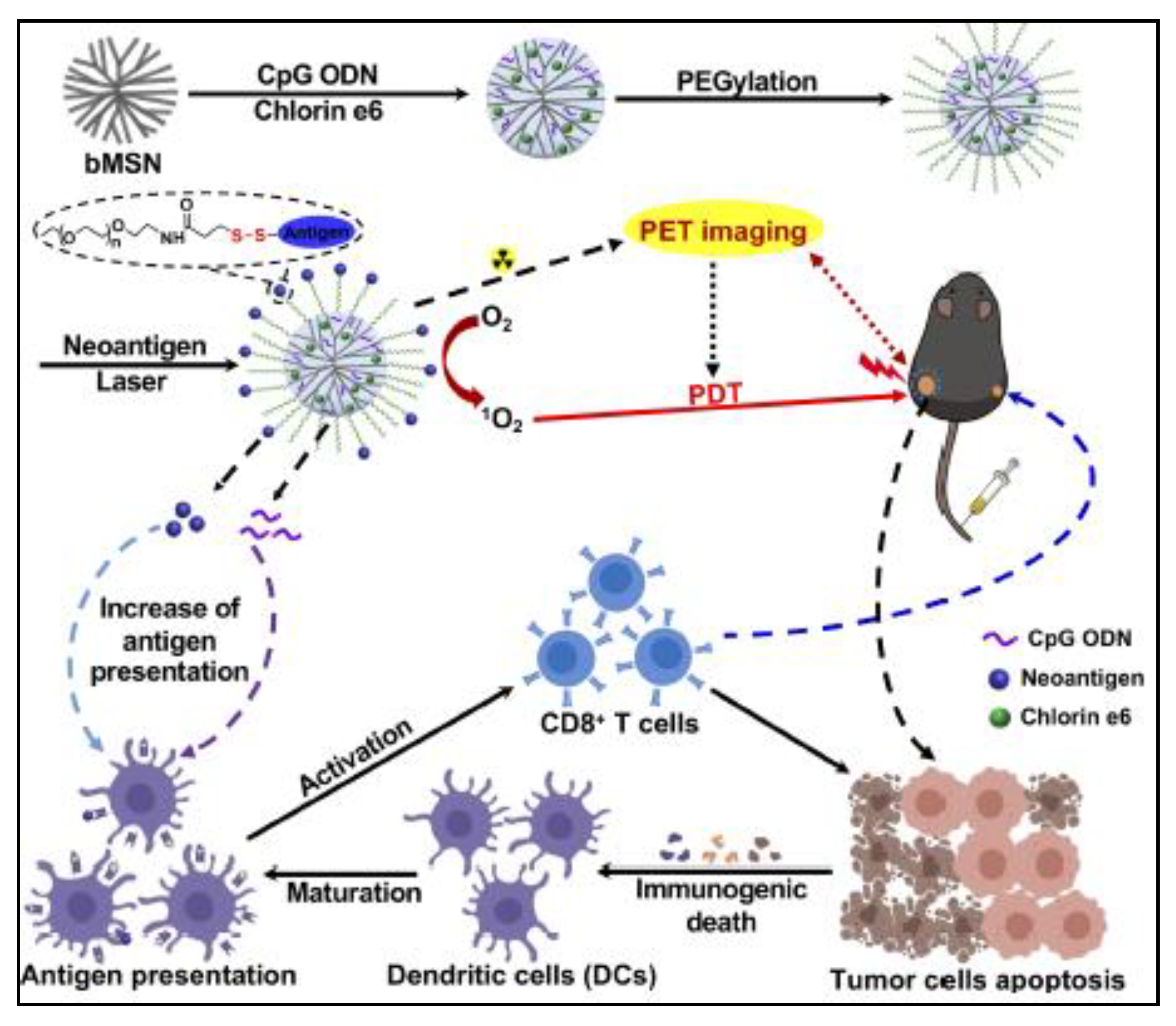 Pharmaceutics 13 00071 g004