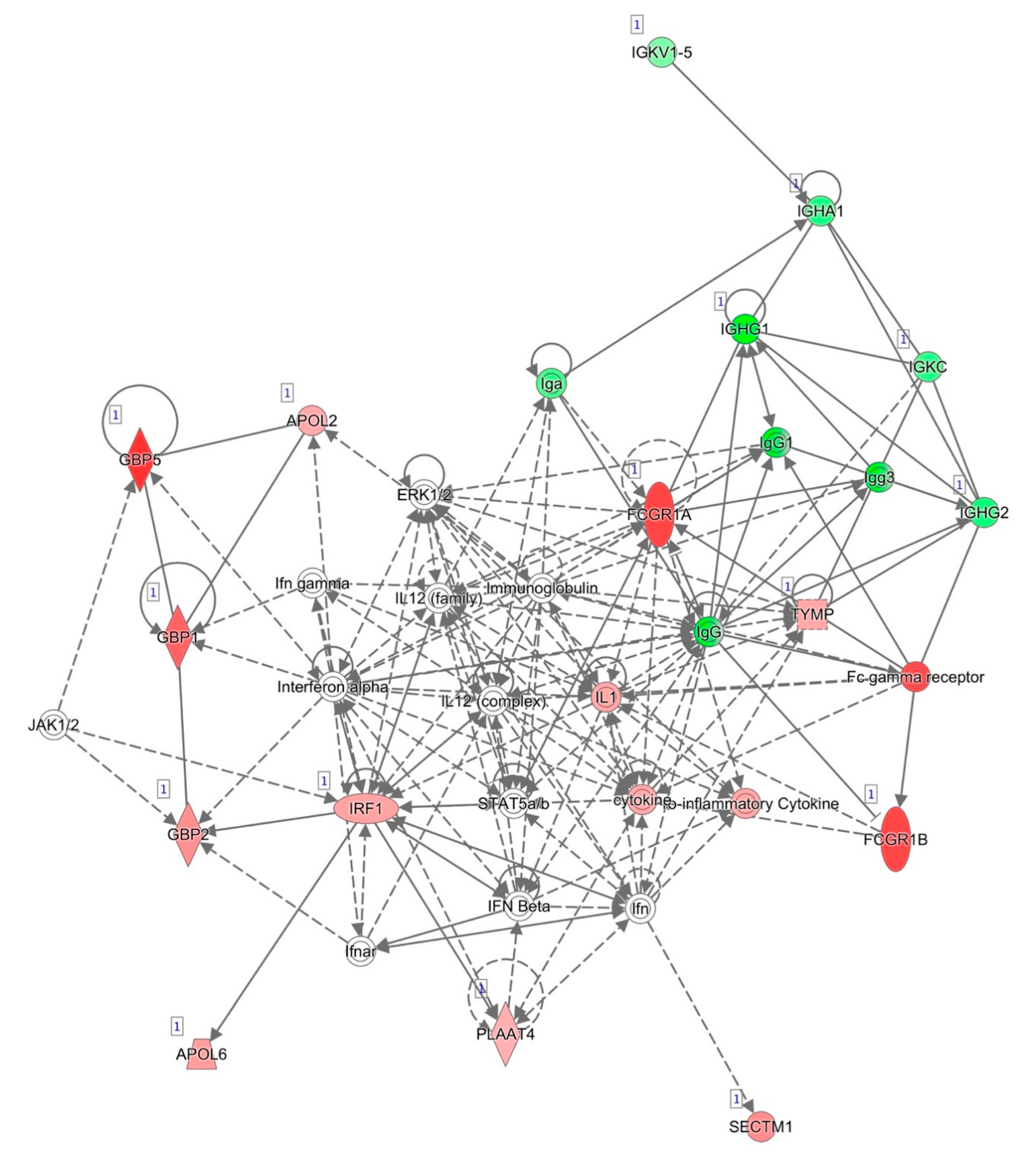 Pharmaceutics 13 00077 g002