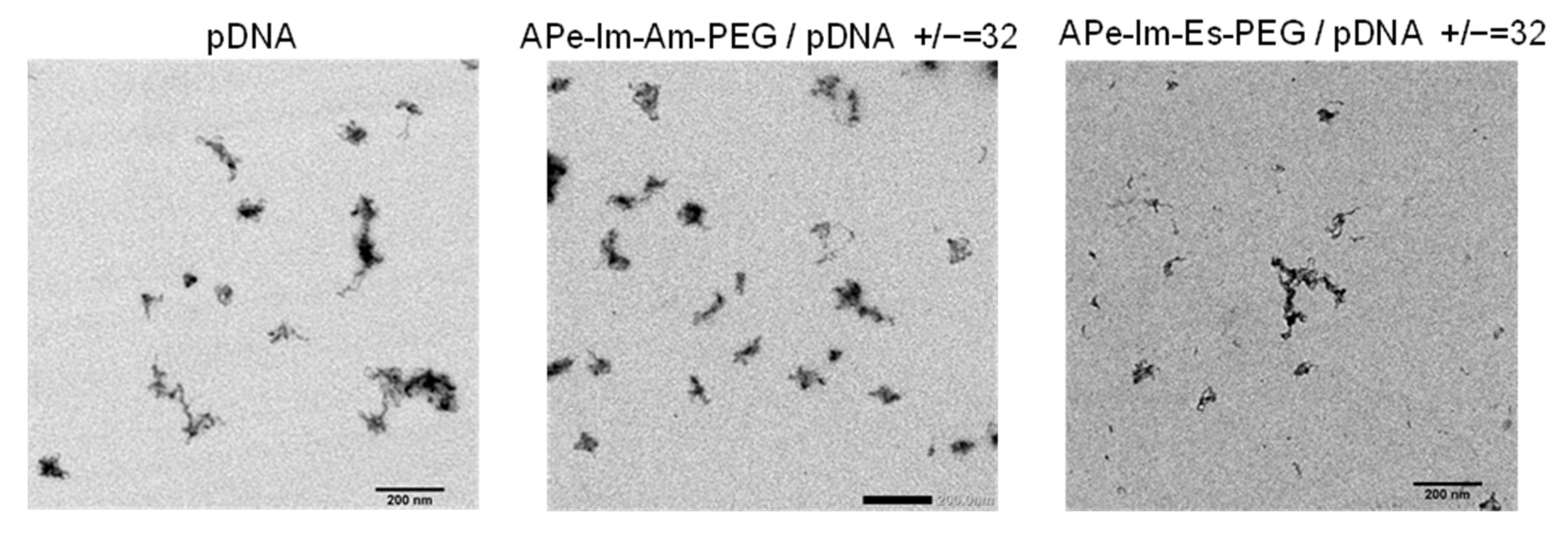 Pharmaceutics 13 00078 g003 Pharmaceutics 13 00078 g003