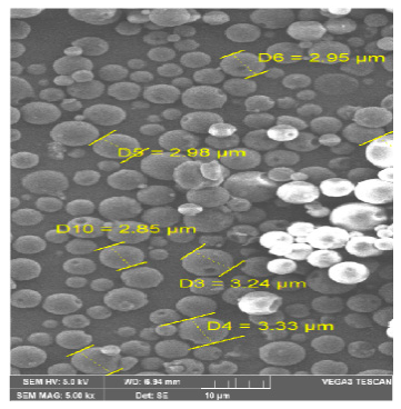 Pharmaceutics 13 00079 g002 Pharmaceutics 13 00079 g002
