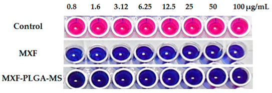 Pharmaceutics 13 00079 g005 Pharmaceutics 13 00079 g005