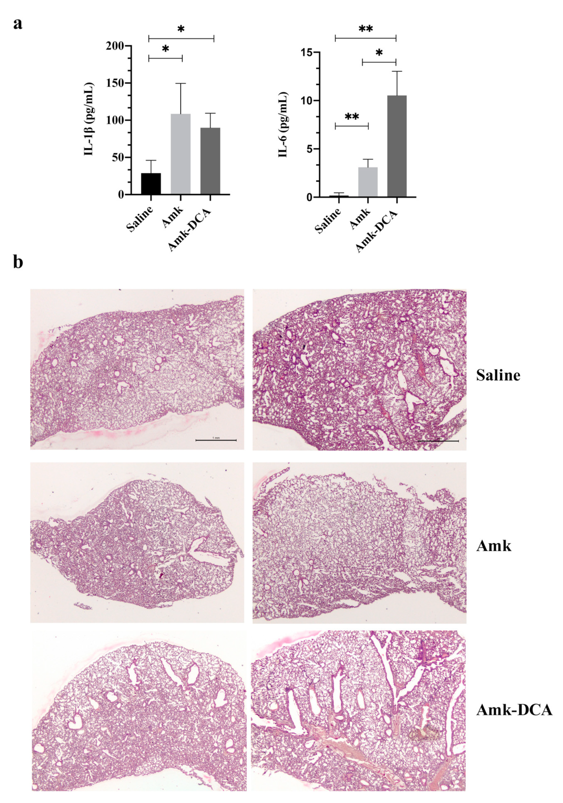 Pharmaceutics 13 00085 g003