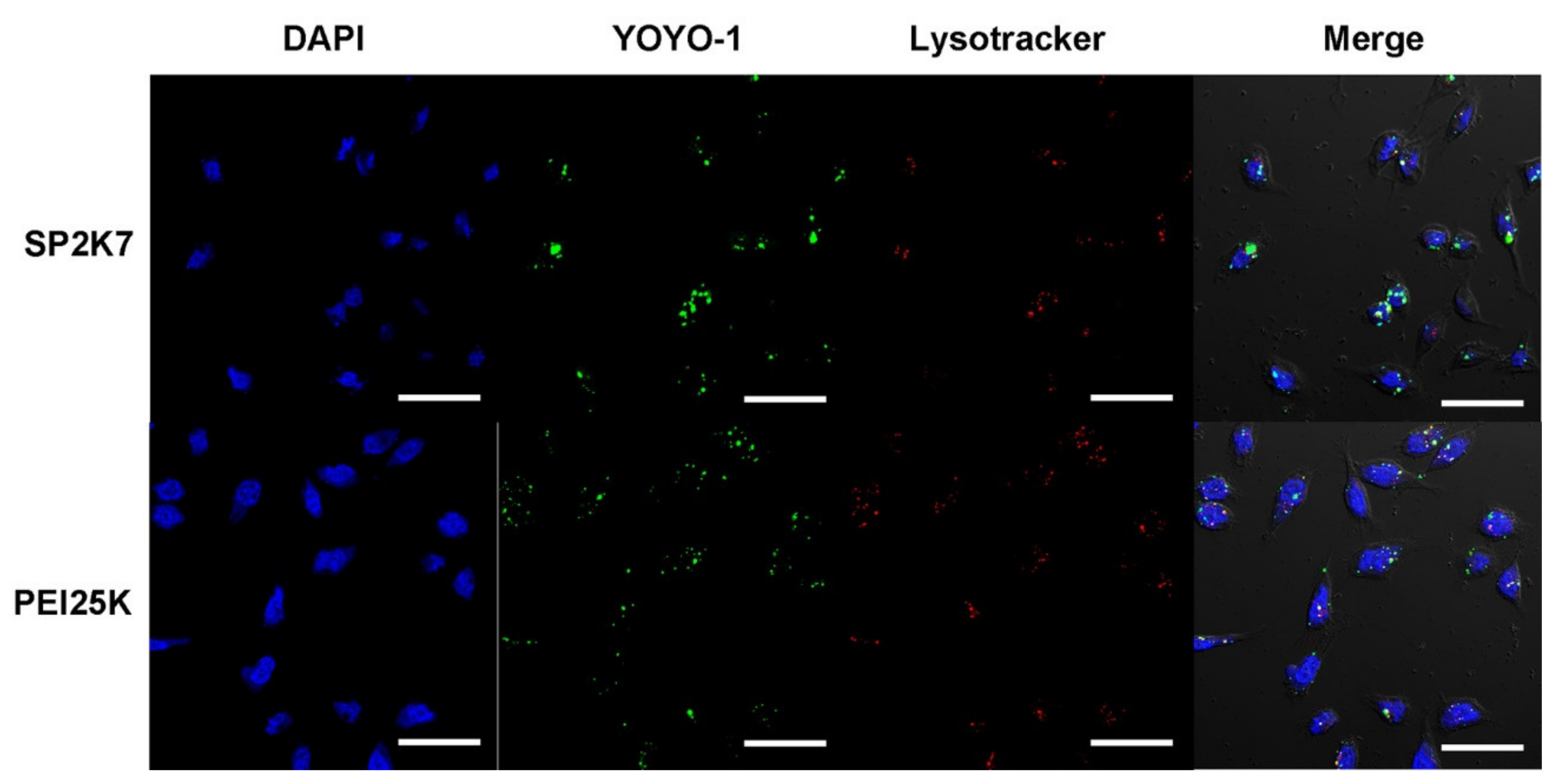 Pharmaceutics 13 00087 g009 Pharmaceutics 13 00087 g009