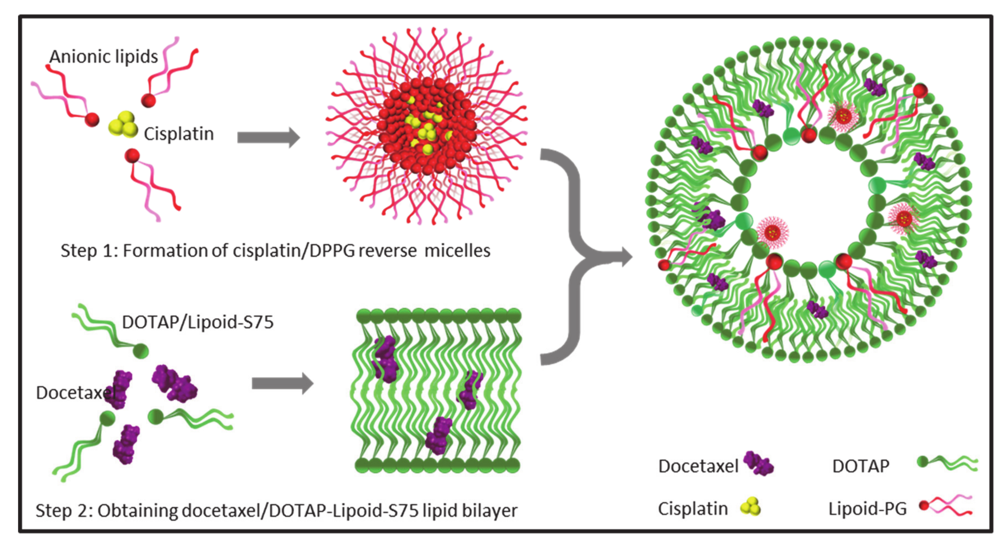 Pharmaceutics 13 00088 g002