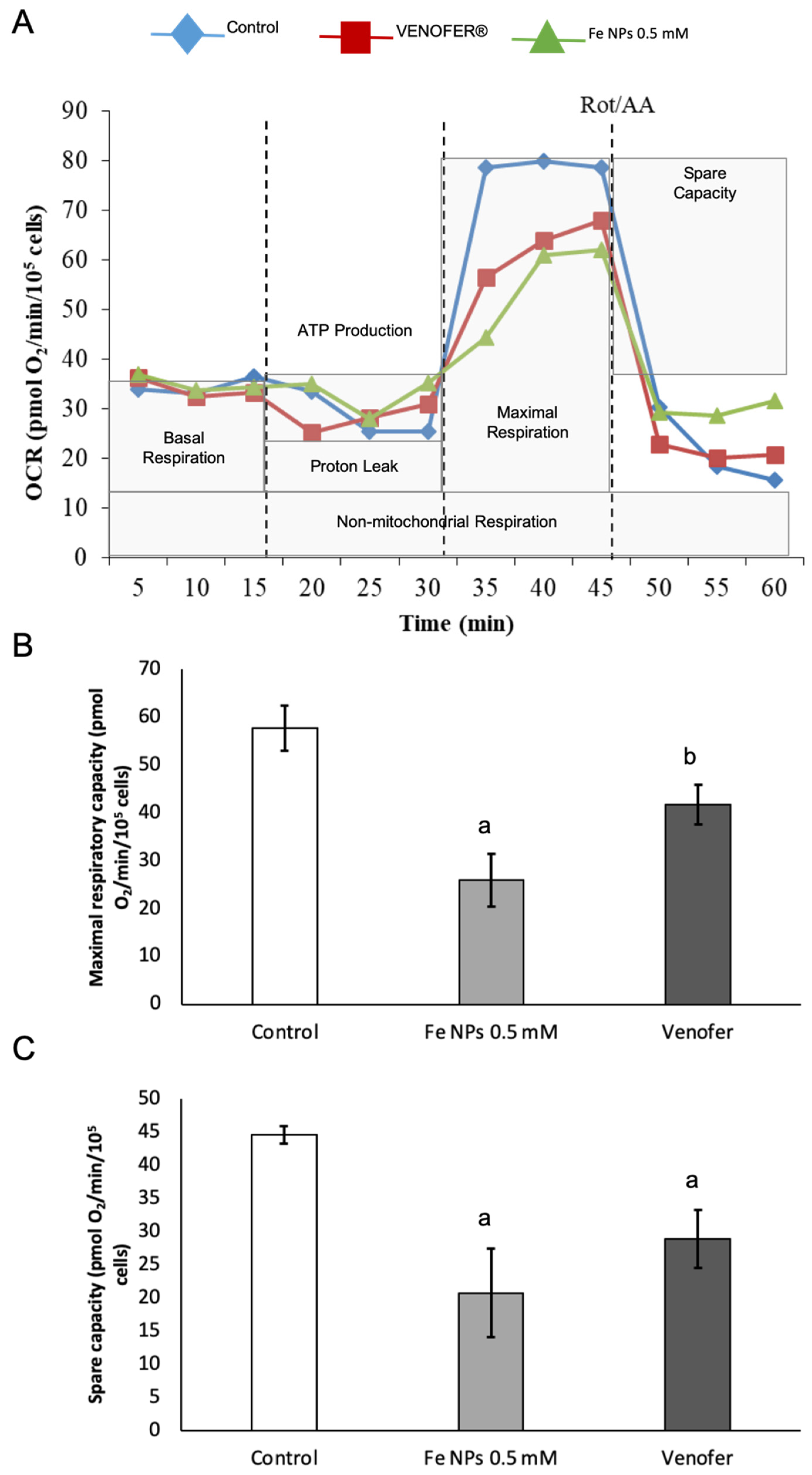 Pharmaceutics 13 00090 g004