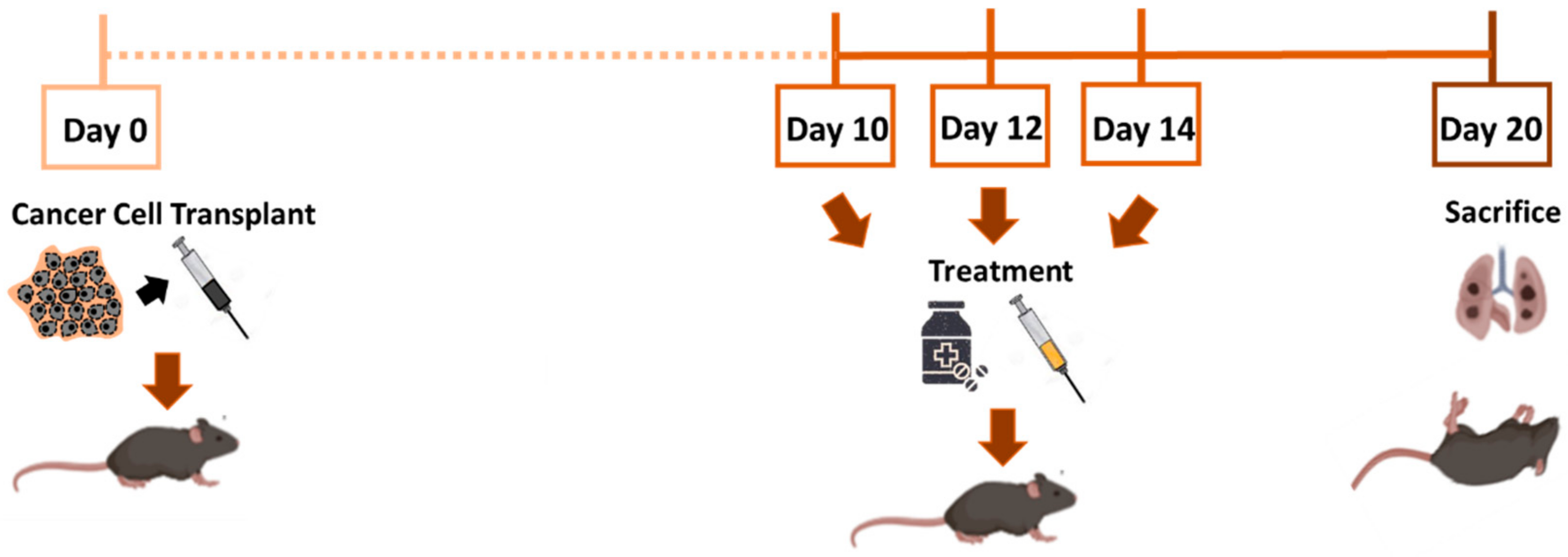 Pharmaceutics 13 00093 g003 Pharmaceutics 13 00093 g003