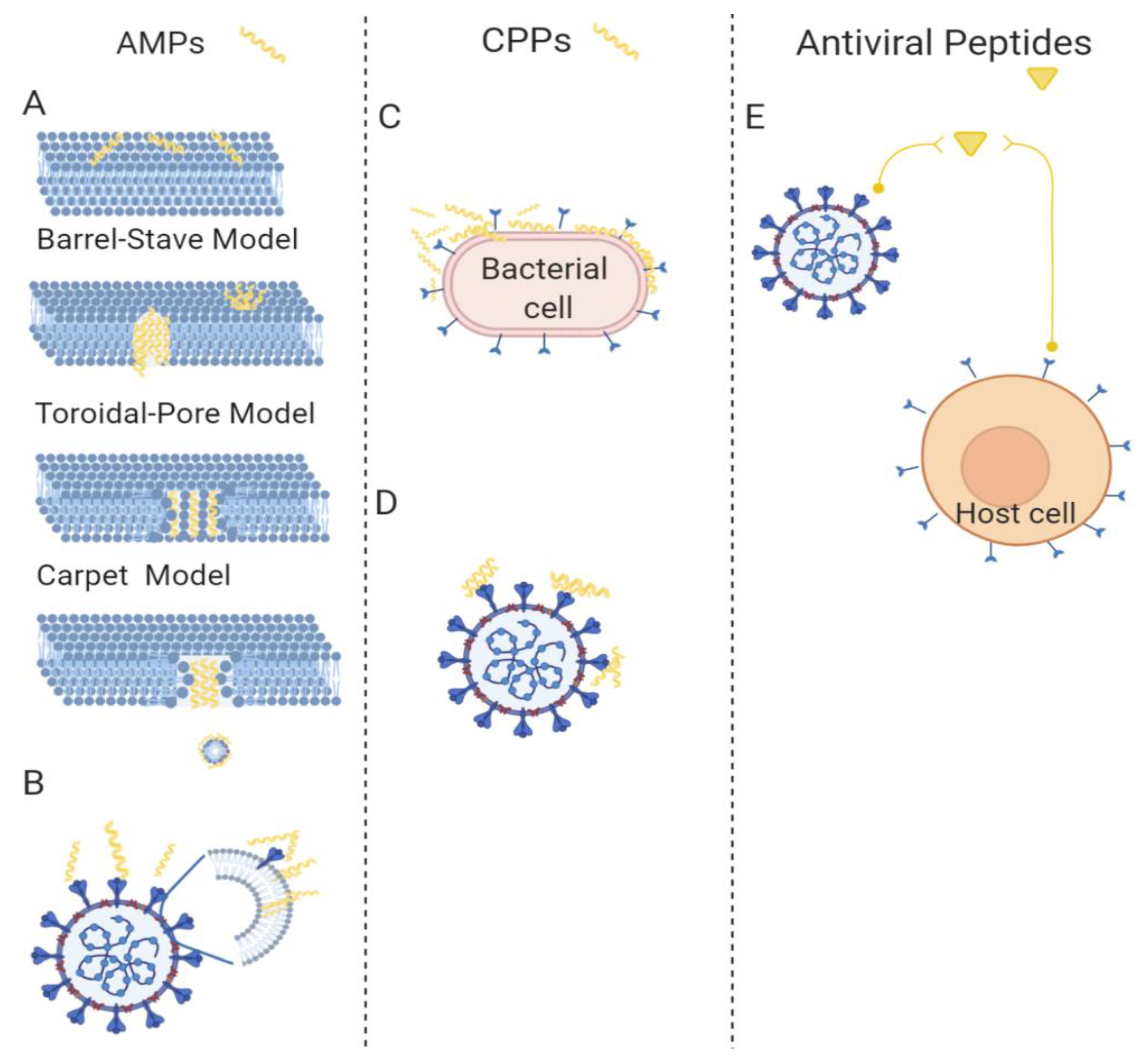 Pharmaceutics 13 00101 g003 Pharmaceutics 13 00101 g003