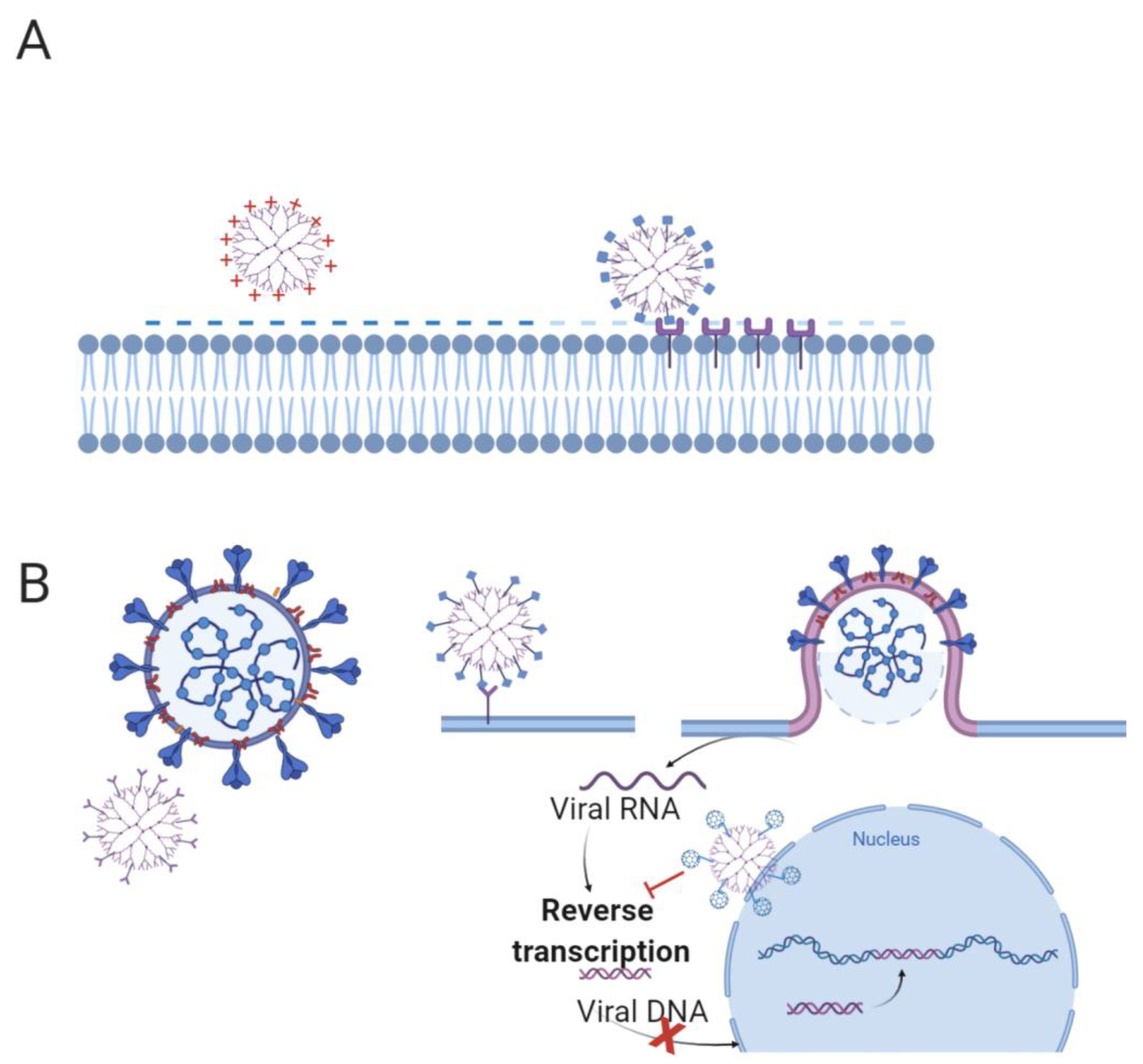 Pharmaceutics 13 00101 g005 Pharmaceutics 13 00101 g005