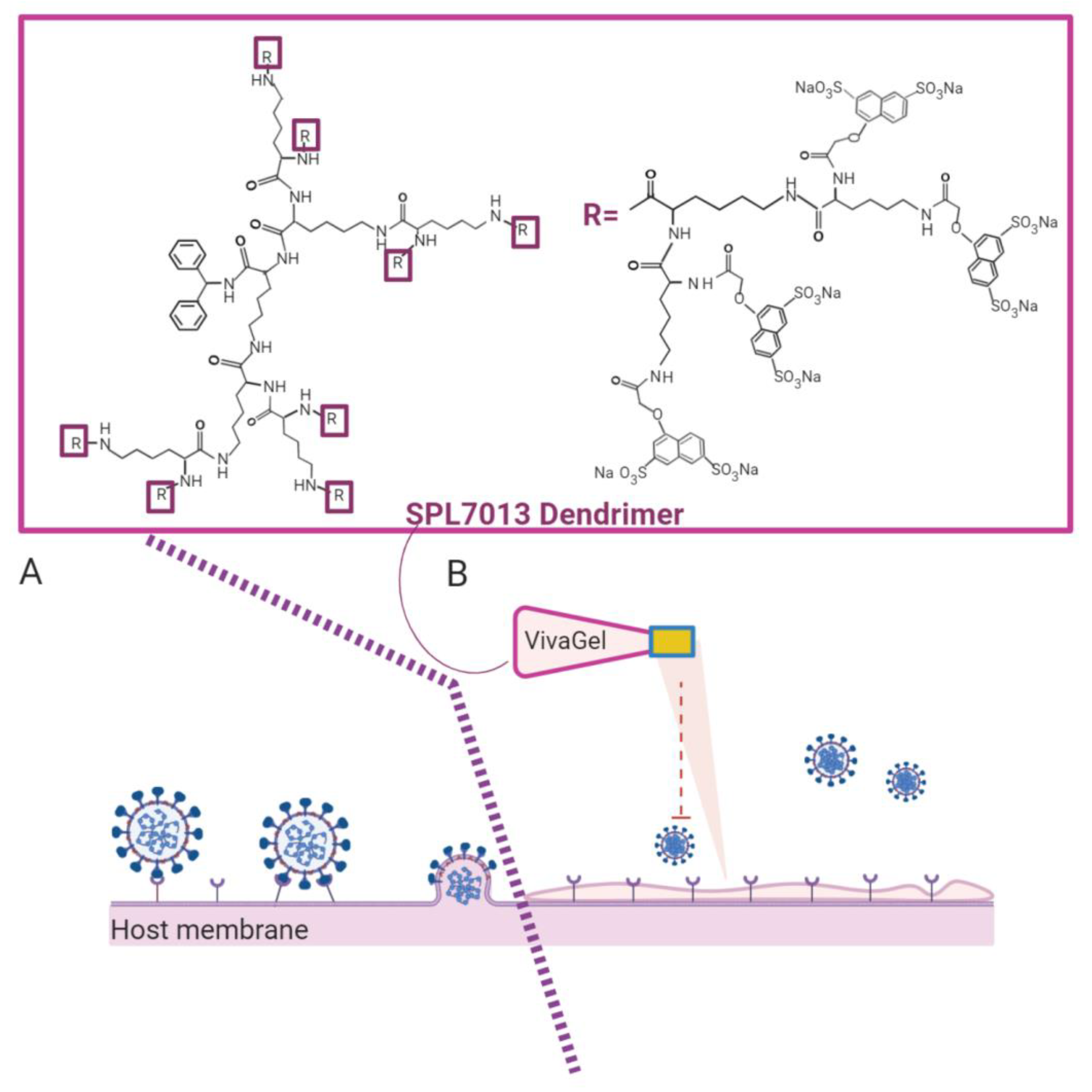 Pharmaceutics 13 00101 g006 Pharmaceutics 13 00101 g006