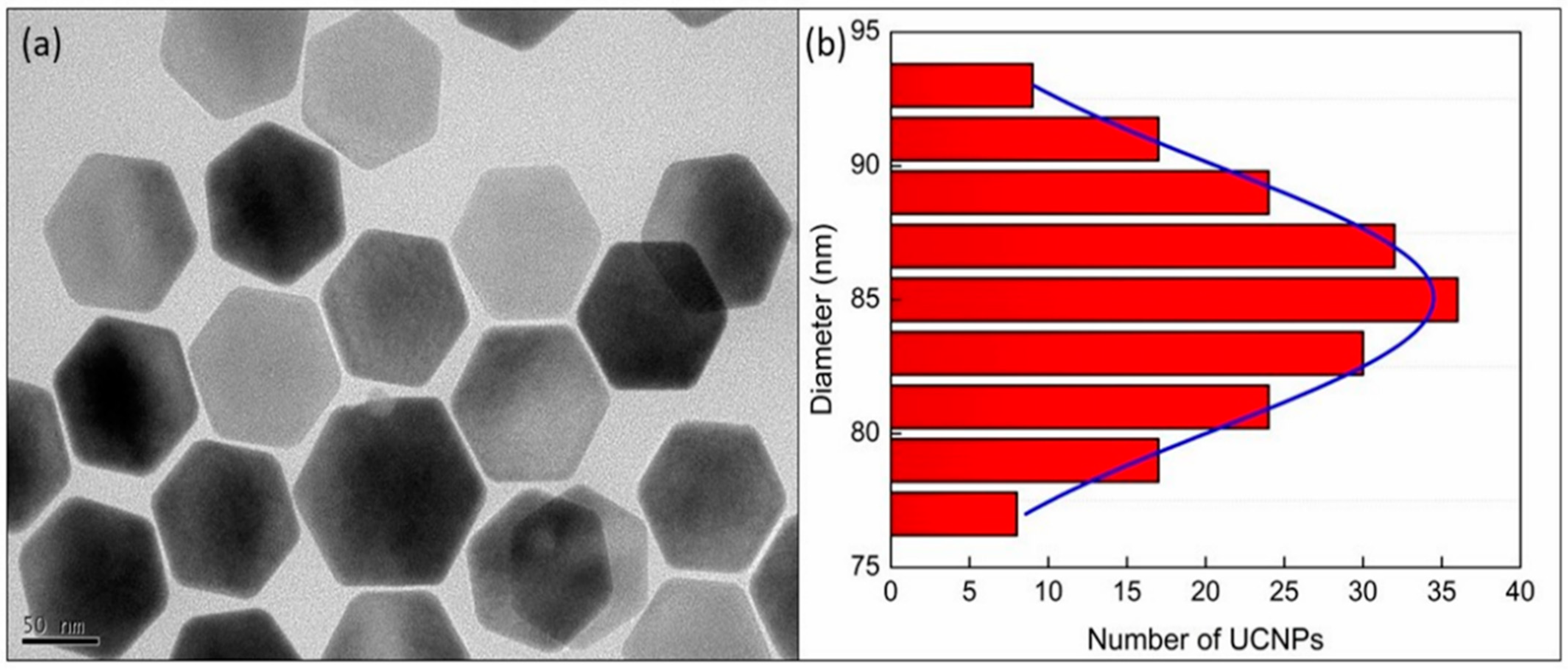 Pharmaceutics 13 00102 g001