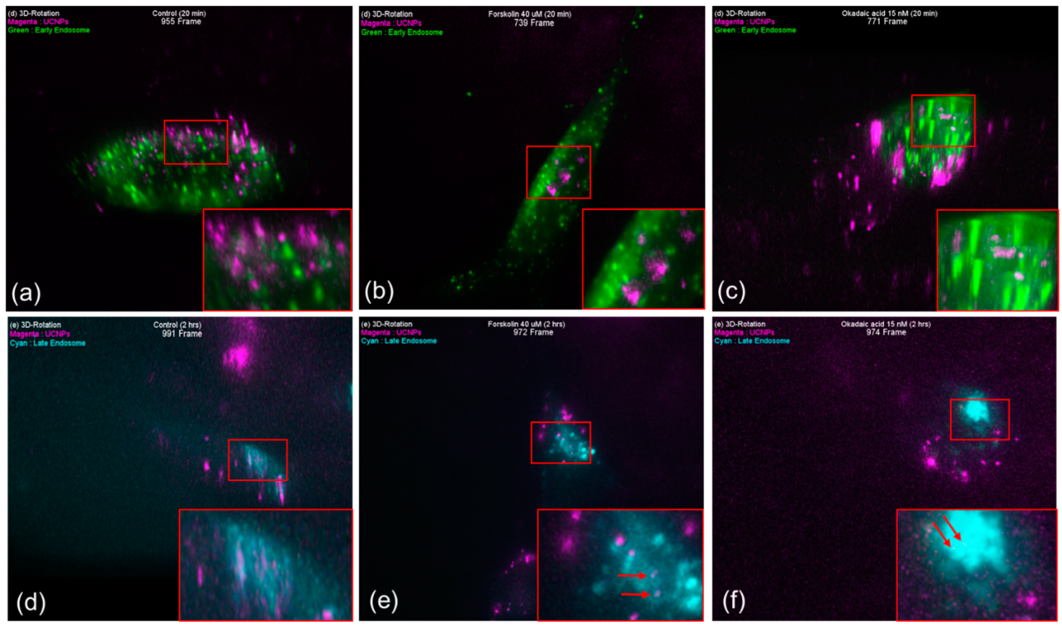 Pharmaceutics 13 00102 g005