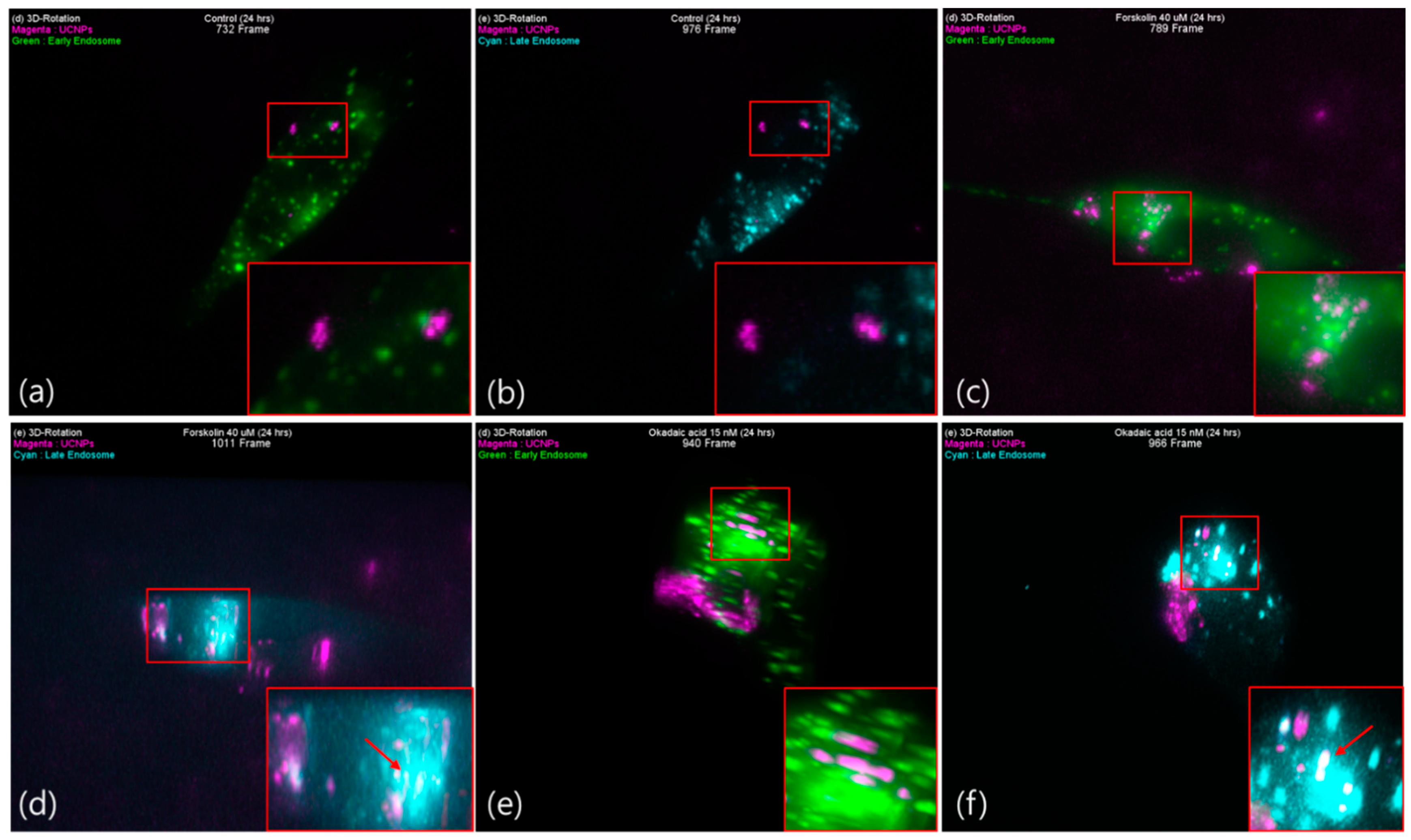 Pharmaceutics 13 00102 g006