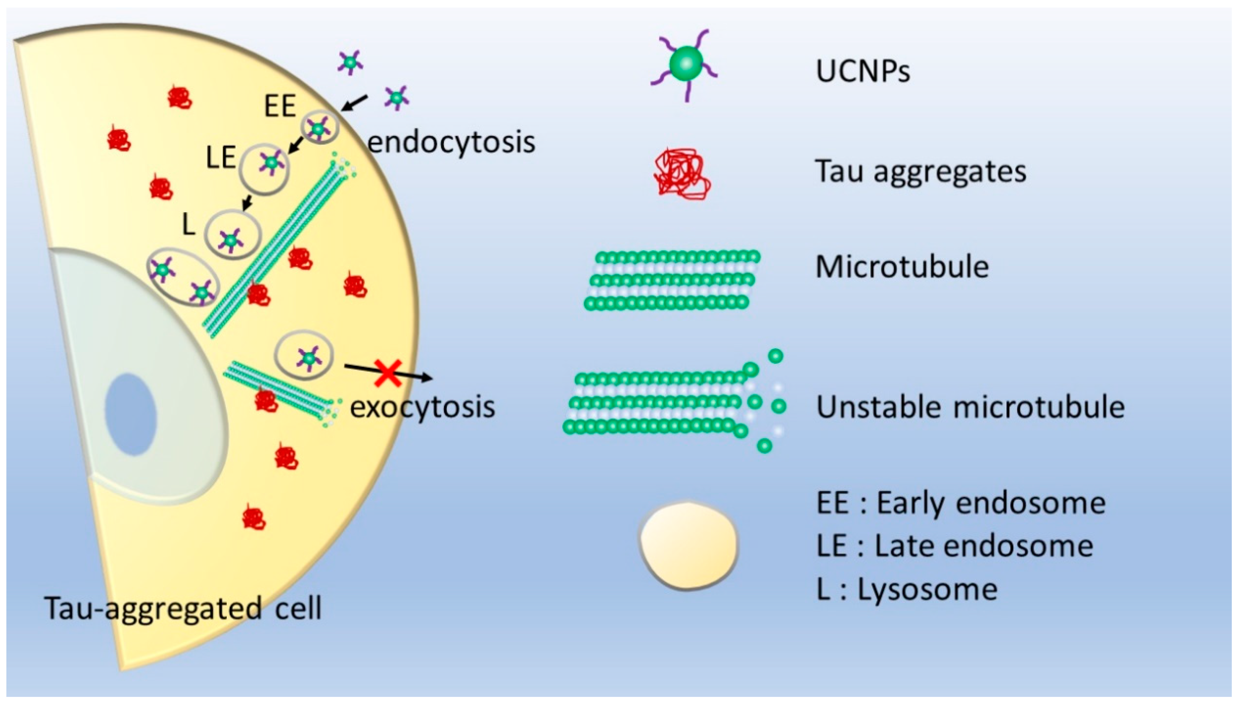 Pharmaceutics 13 00102 g007