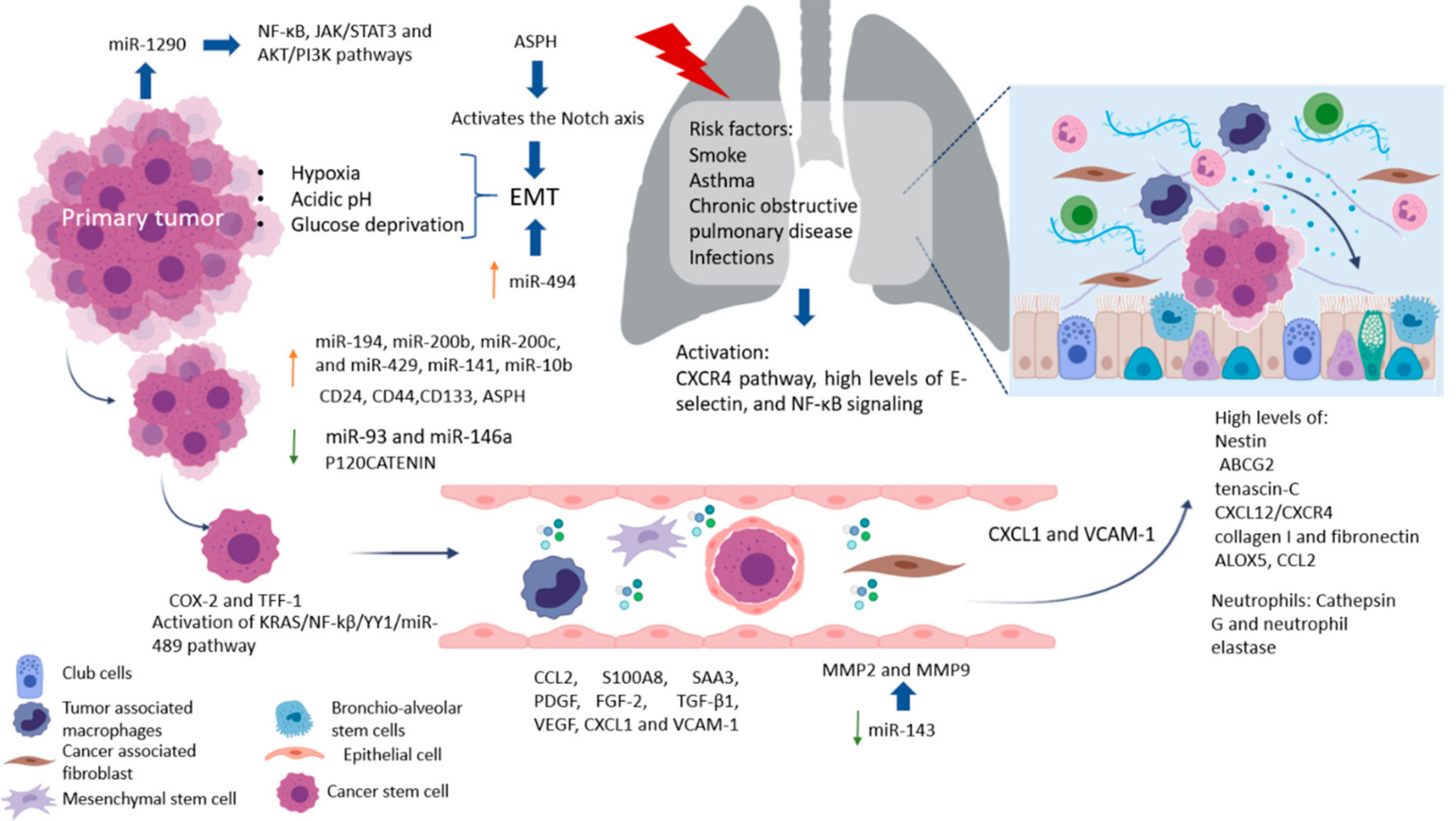 Pharmaceutics 13 00103 g002