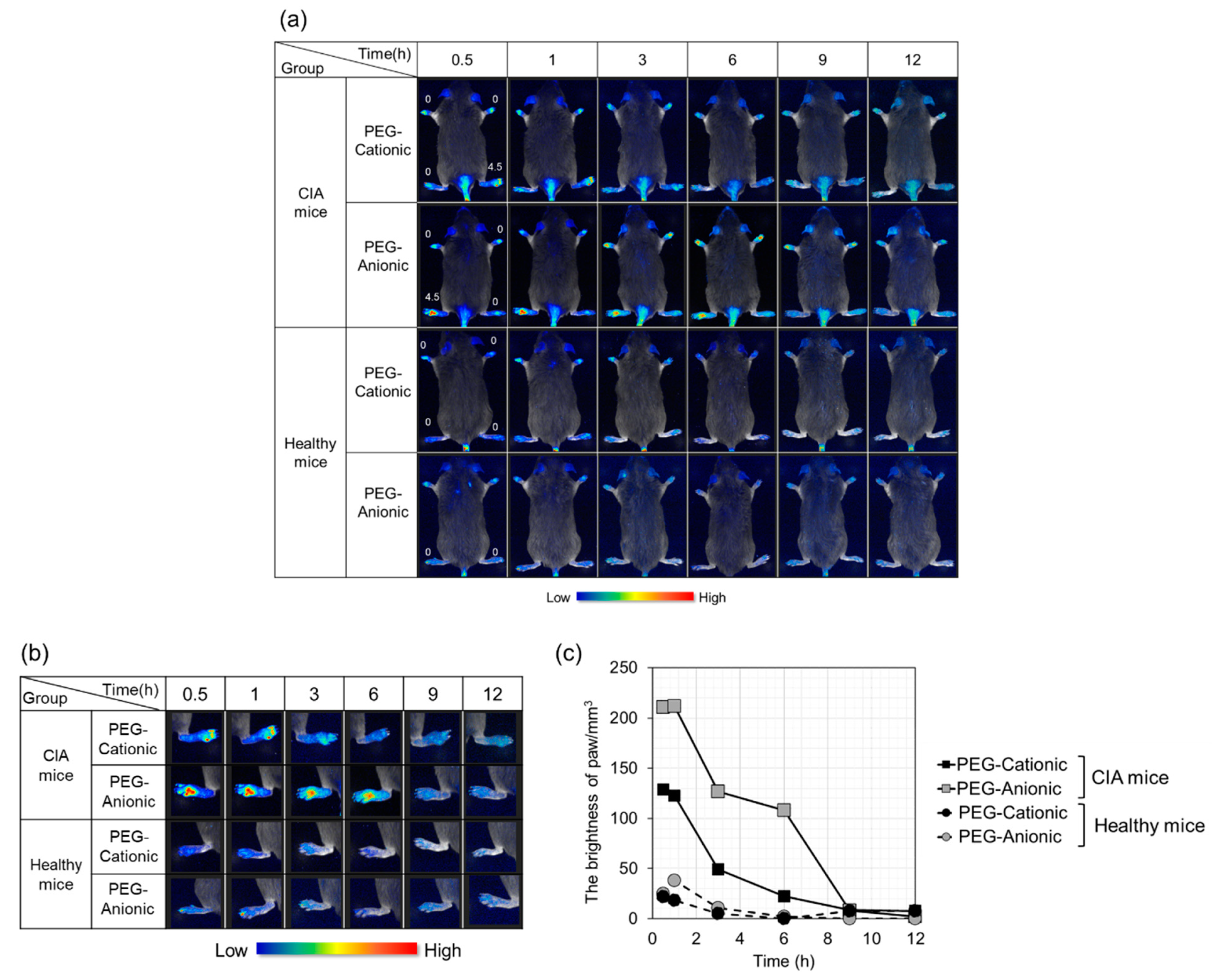 Pharmaceutics 13 00104 g002 Pharmaceutics 13 00104 g002