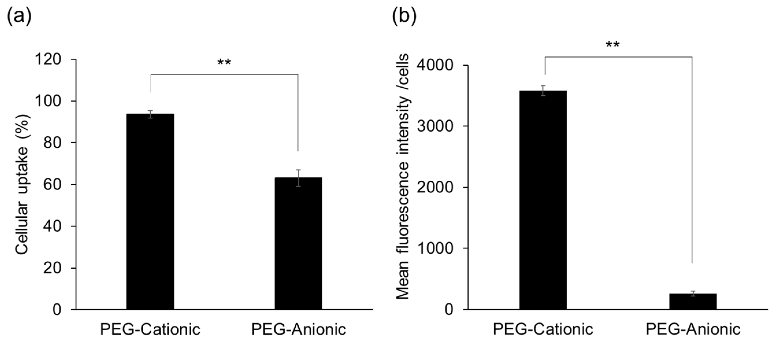 Pharmaceutics 13 00104 g004 Pharmaceutics 13 00104 g004