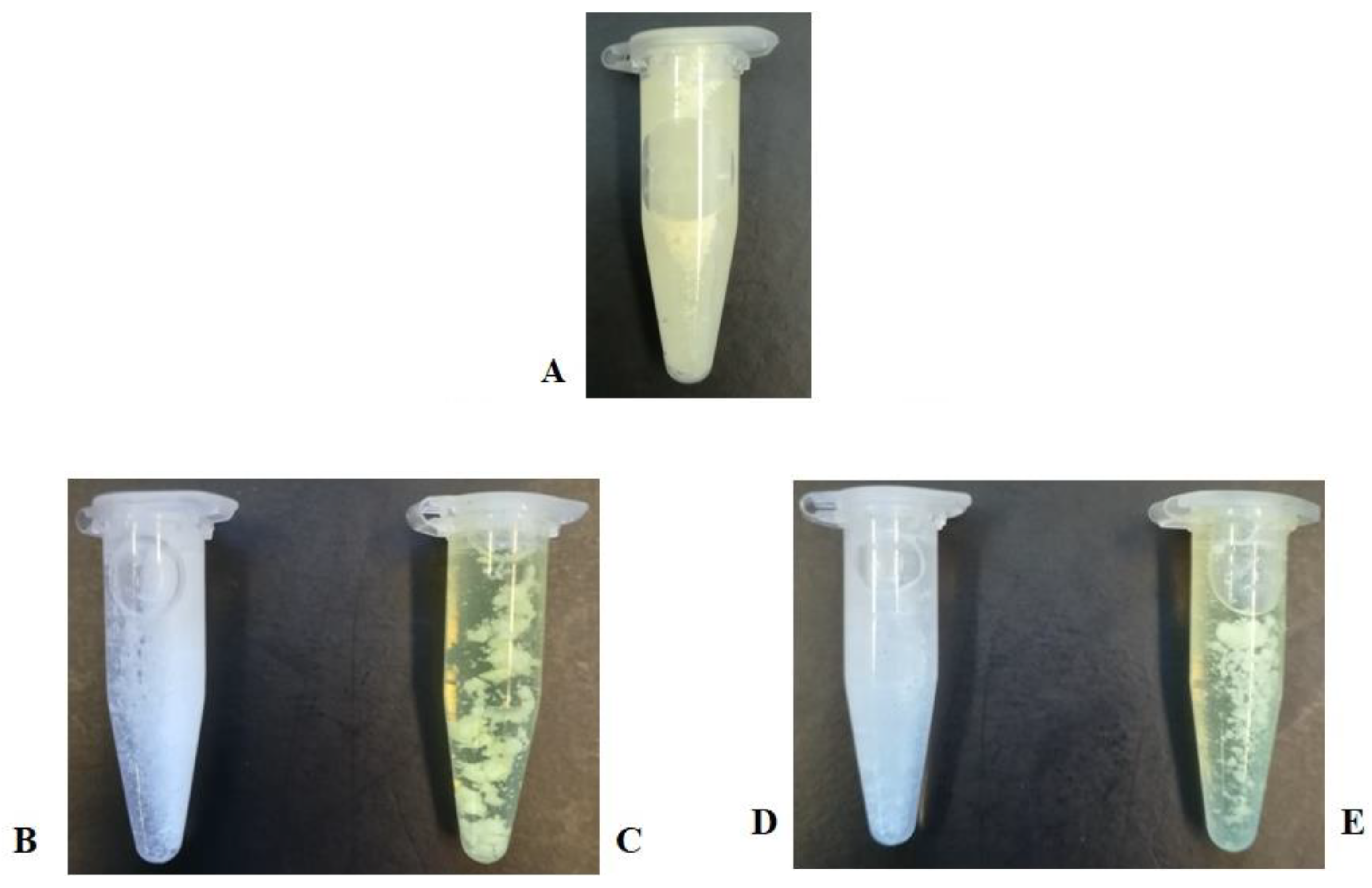 Pharmaceutics 13 00109 g002