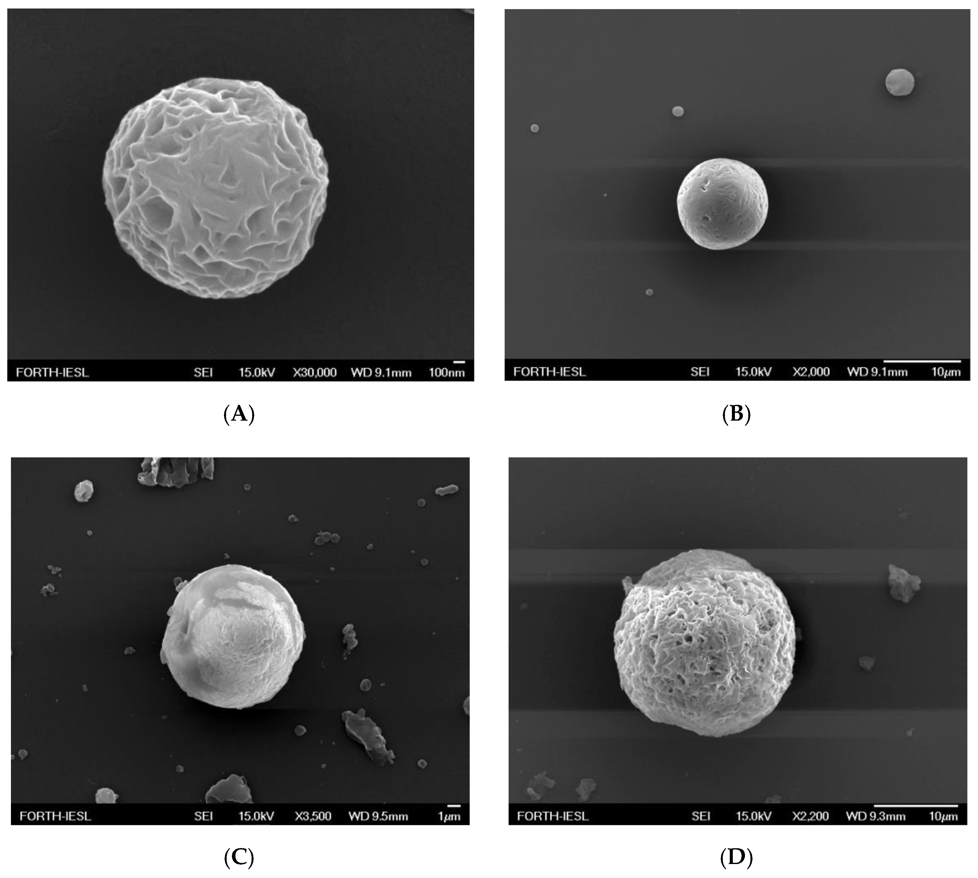 Pharmaceutics 13 00109 g004