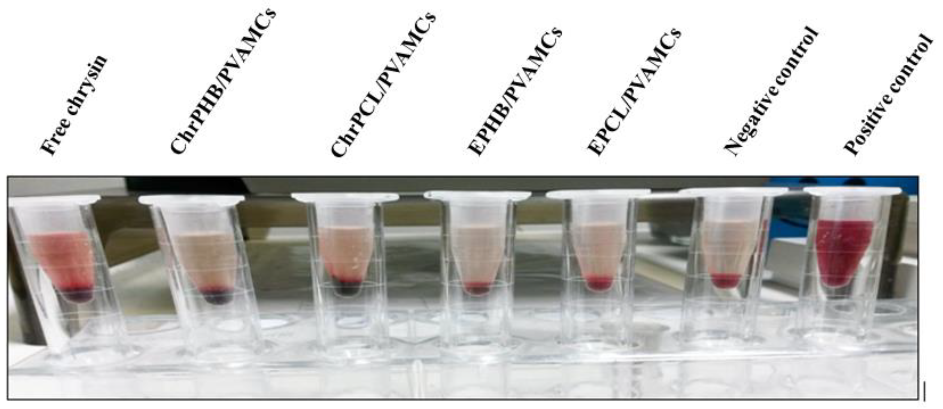 Pharmaceutics 13 00109 g009