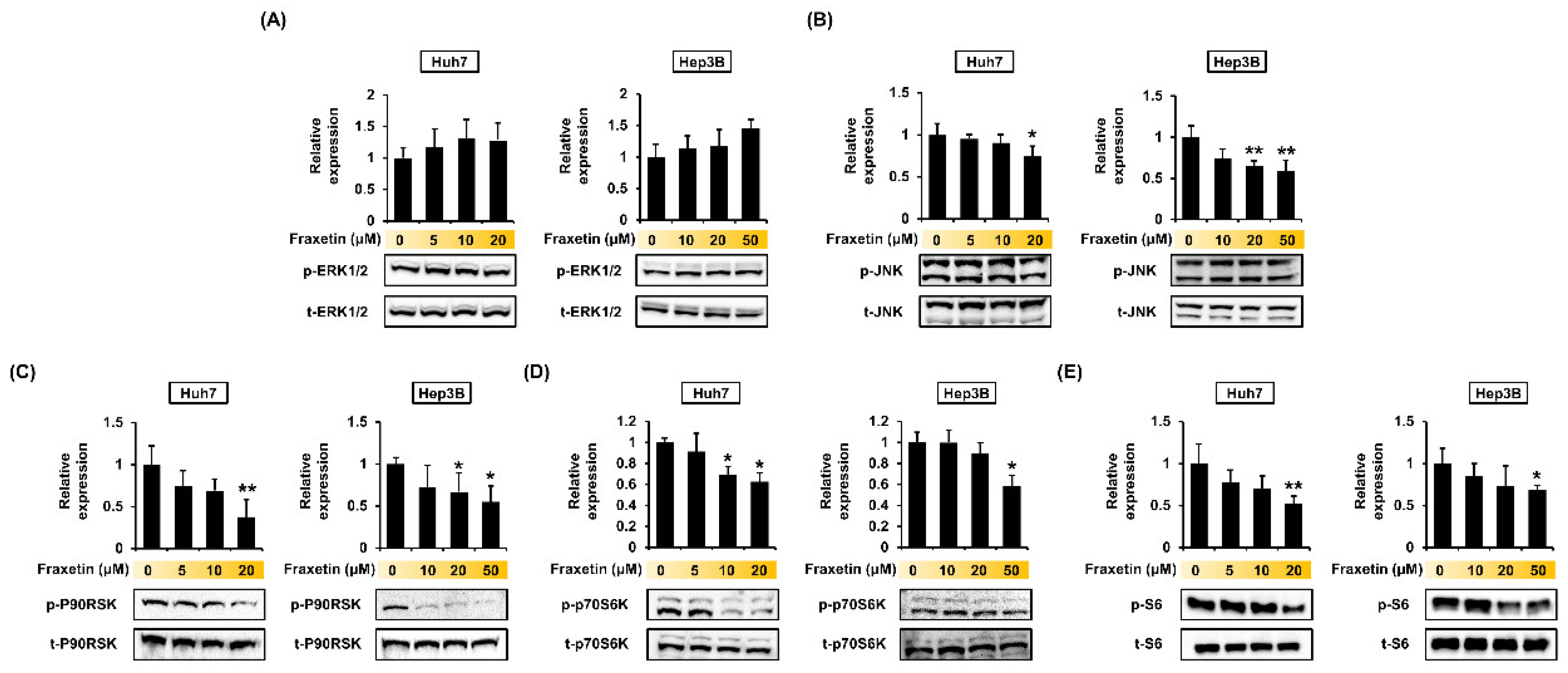 Pharmaceutics 13 00112 g007