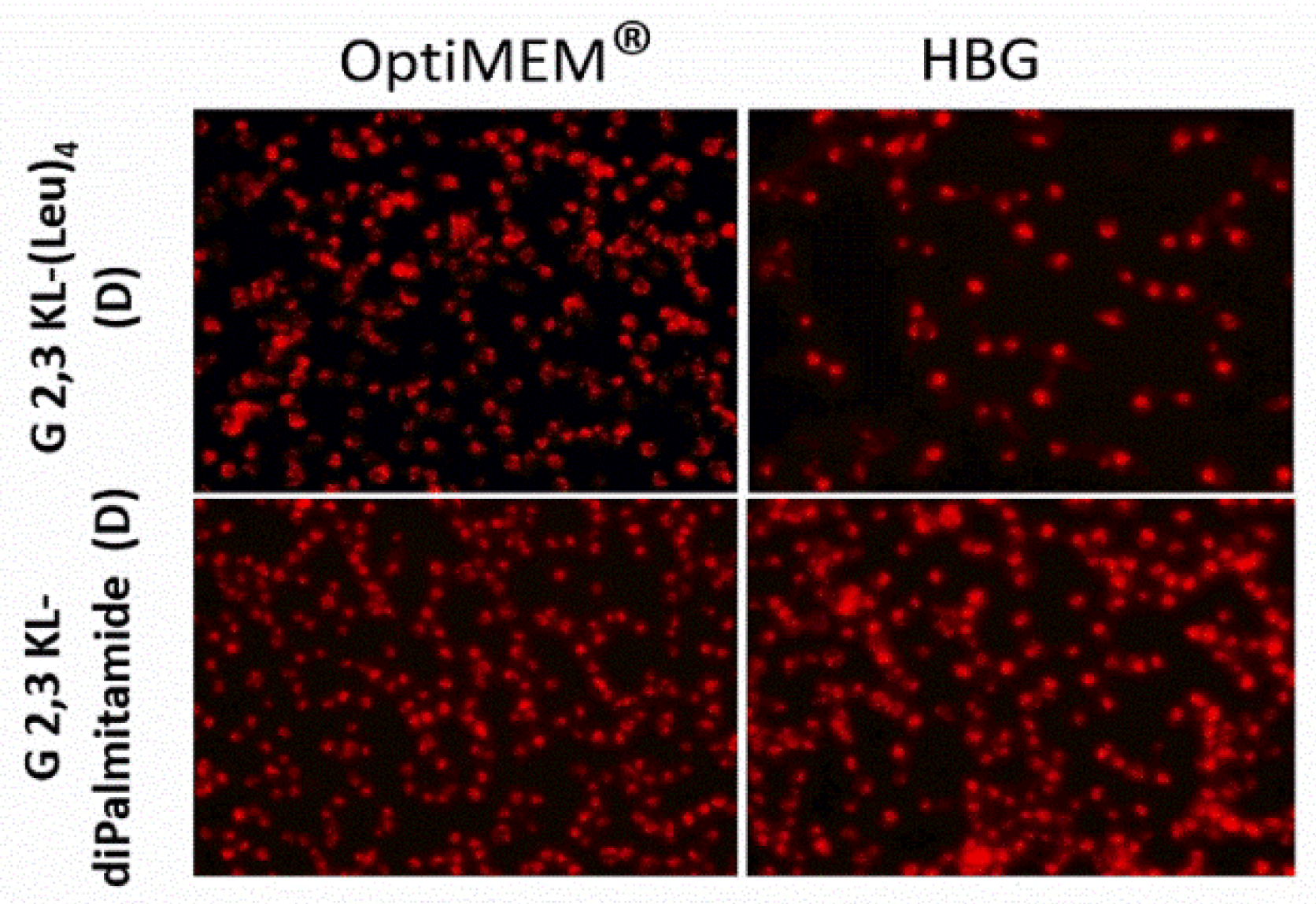 Pharmaceutics 13 00116 g003 Pharmaceutics 13 00116 g003