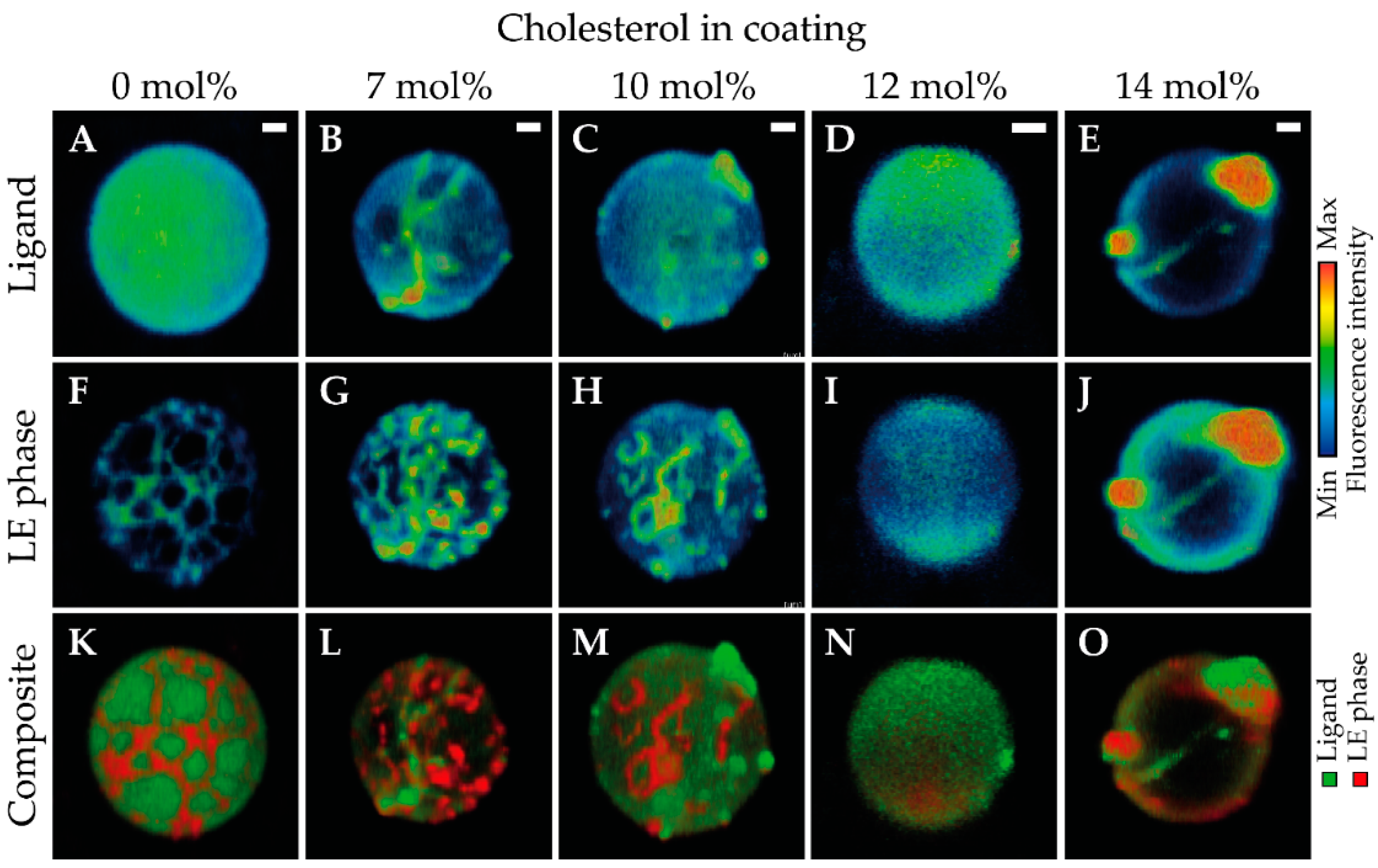 Pharmaceutics 13 00119 g002 Pharmaceutics 13 00119 g002