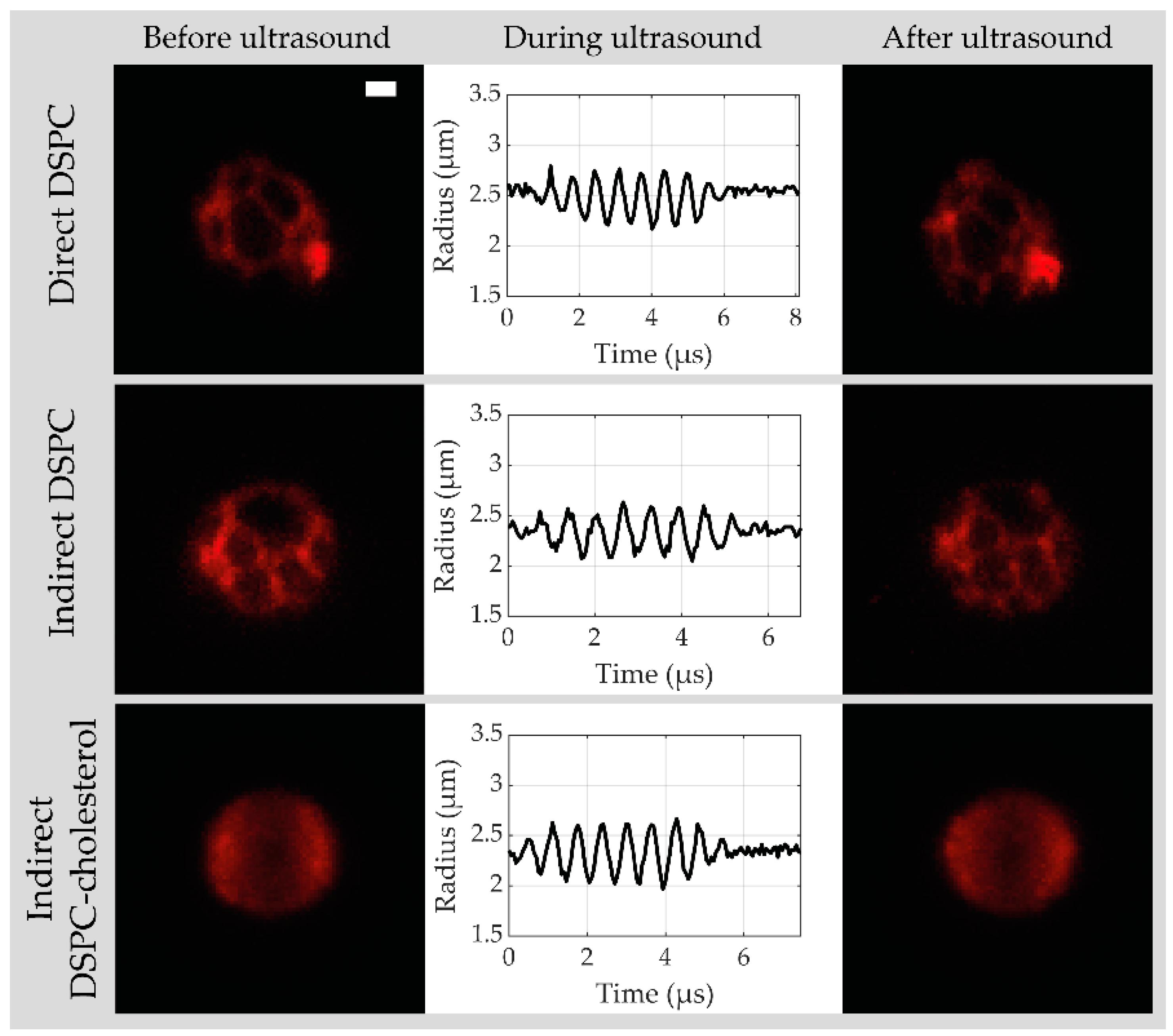 Pharmaceutics 13 00119 g005 Pharmaceutics 13 00119 g005
