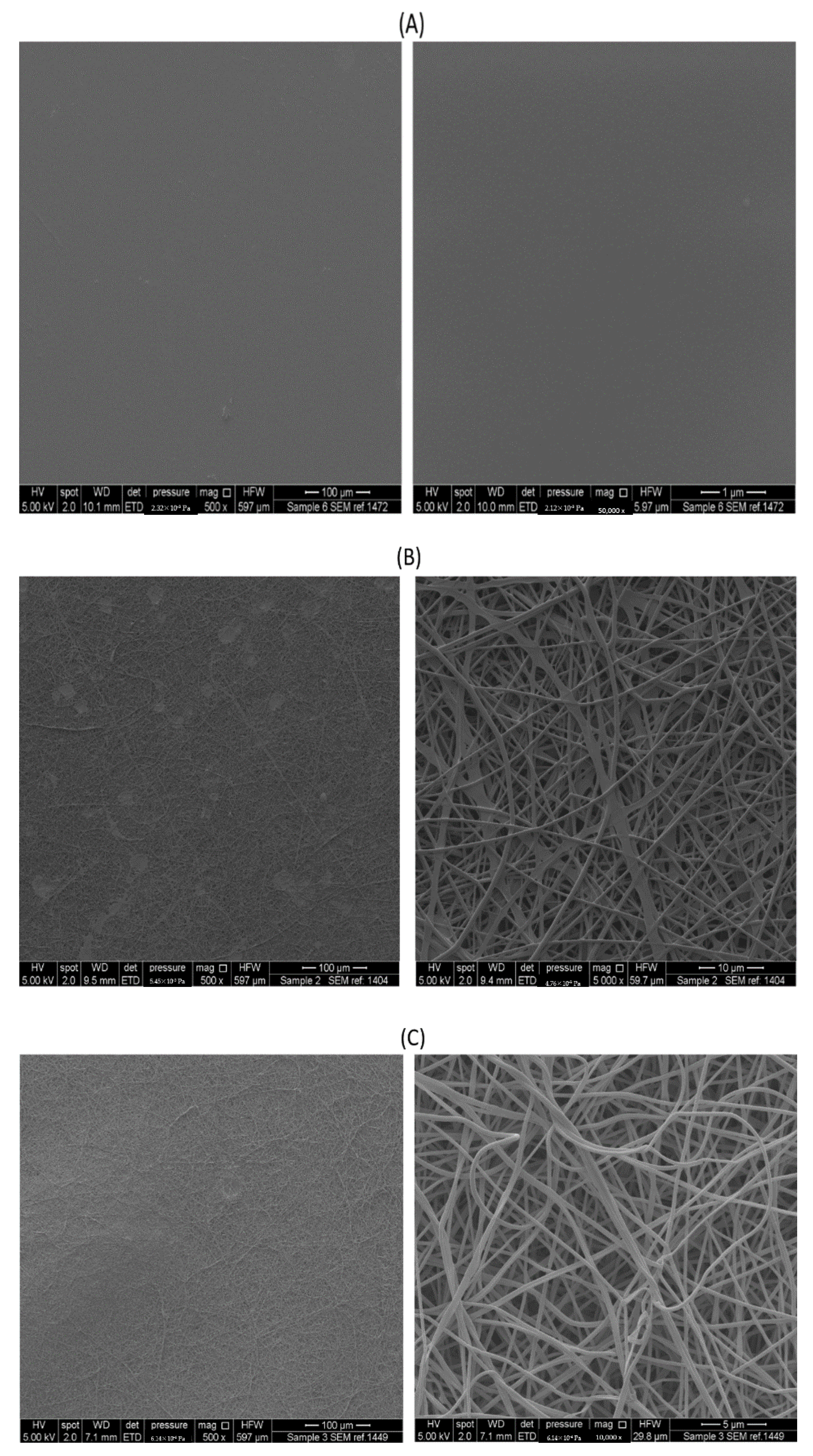 Pharmaceutics 13 00120 g003a Pharmaceutics 13 00120 g003a