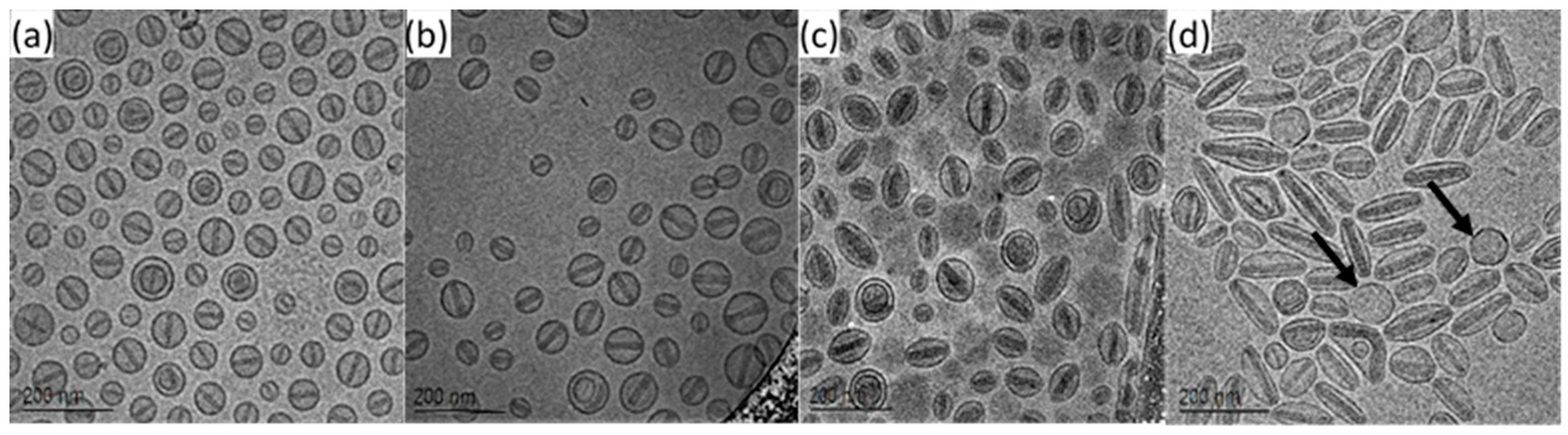 Pharmaceutics 13 00123 g003