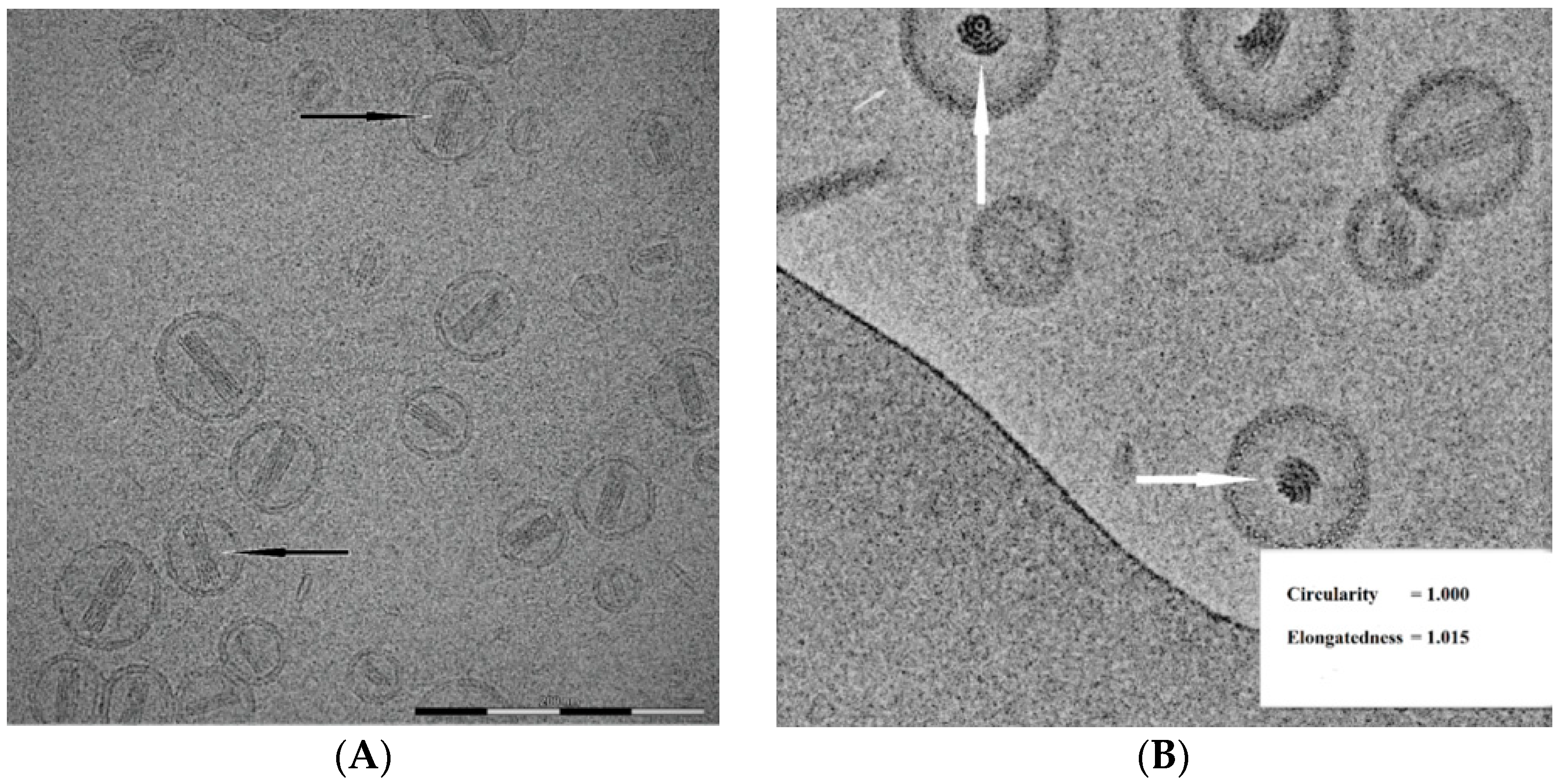 Pharmaceutics 13 00123 g008