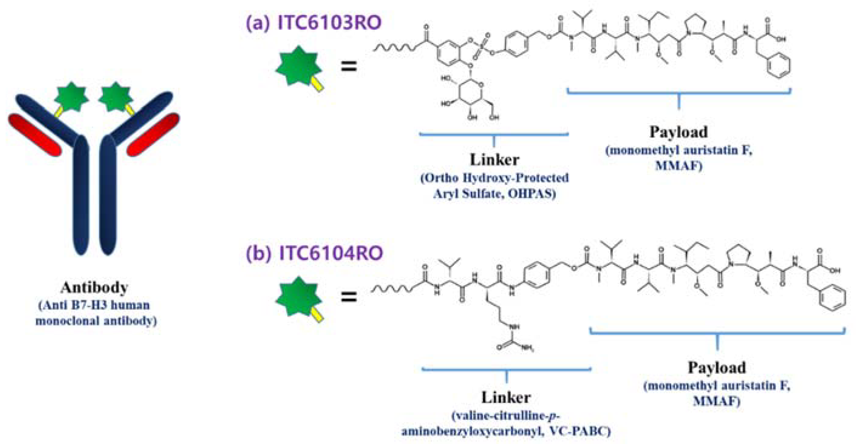Pharmaceutics 13 00125 g001