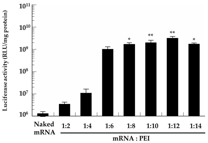 Pharmaceutics 13 00126 g002 Pharmaceutics 13 00126 g002