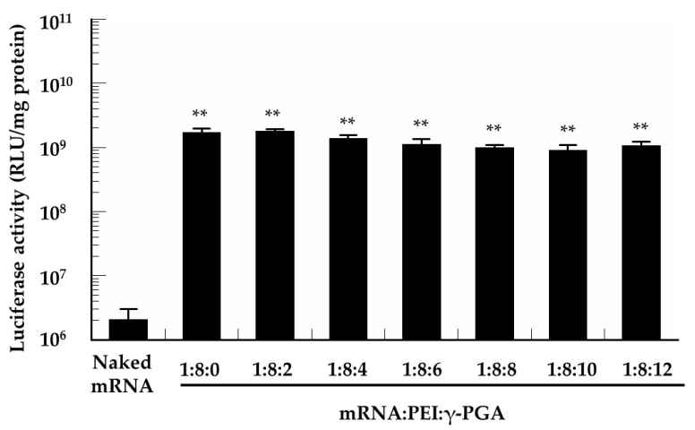 Pharmaceutics 13 00126 g005 Pharmaceutics 13 00126 g005
