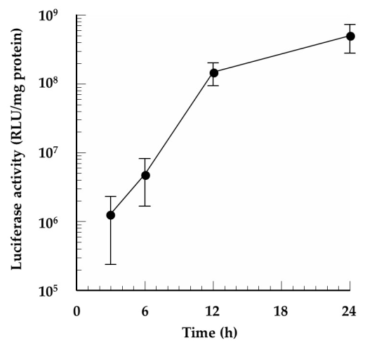 Pharmaceutics 13 00126 g006 Pharmaceutics 13 00126 g006