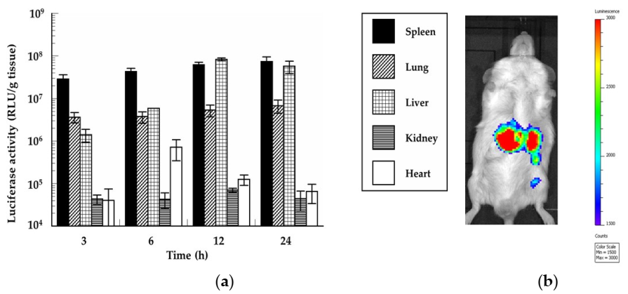 Pharmaceutics 13 00126 g009 Pharmaceutics 13 00126 g009