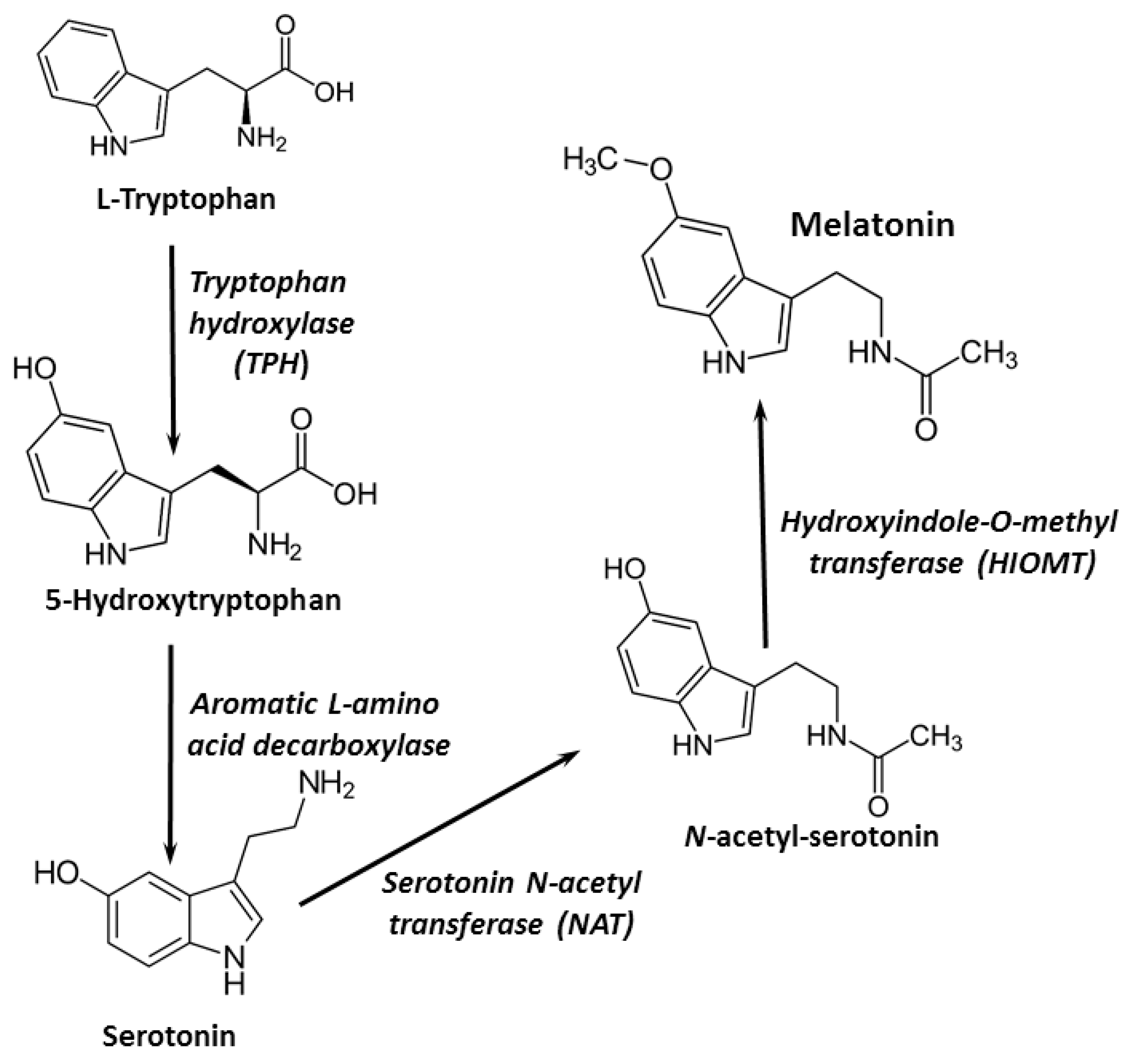 Pharmaceutics 13 00129 g001 Pharmaceutics 13 00129 g001