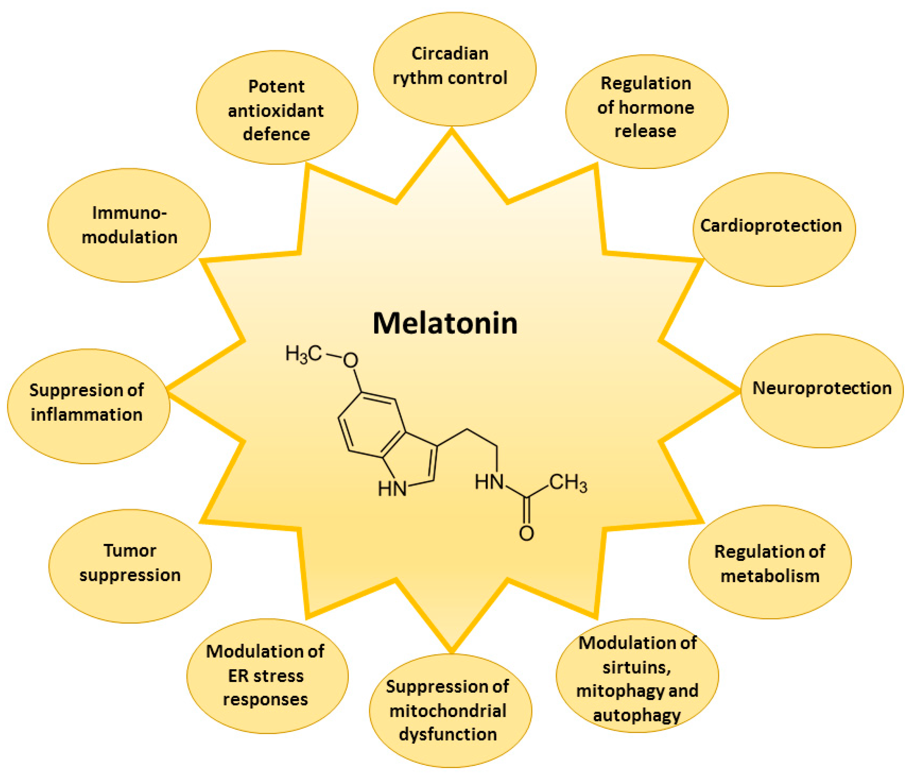 new research on melatonin