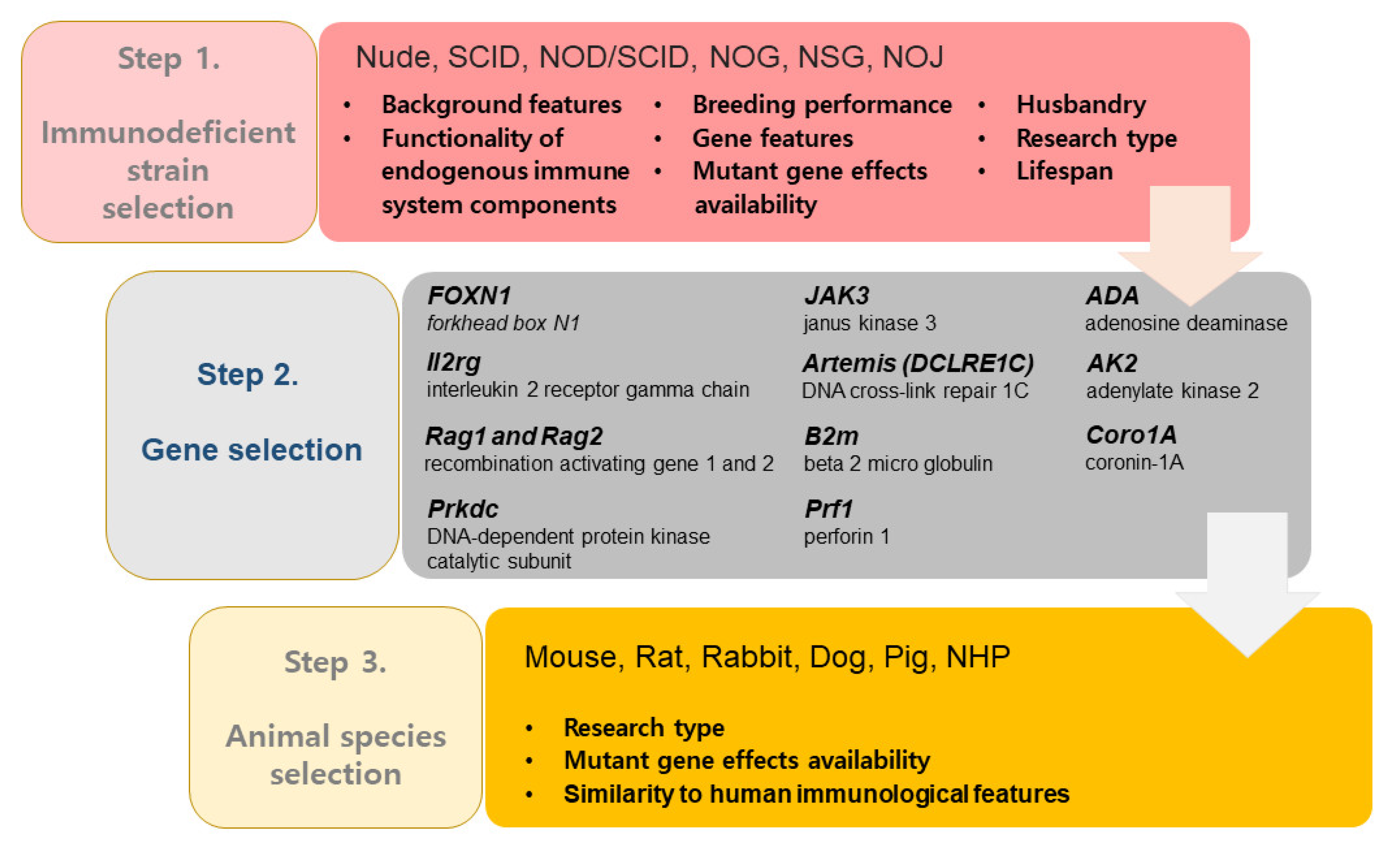 Pharmaceutics 13 00130 g002 Pharmaceutics 13 00130 g002
