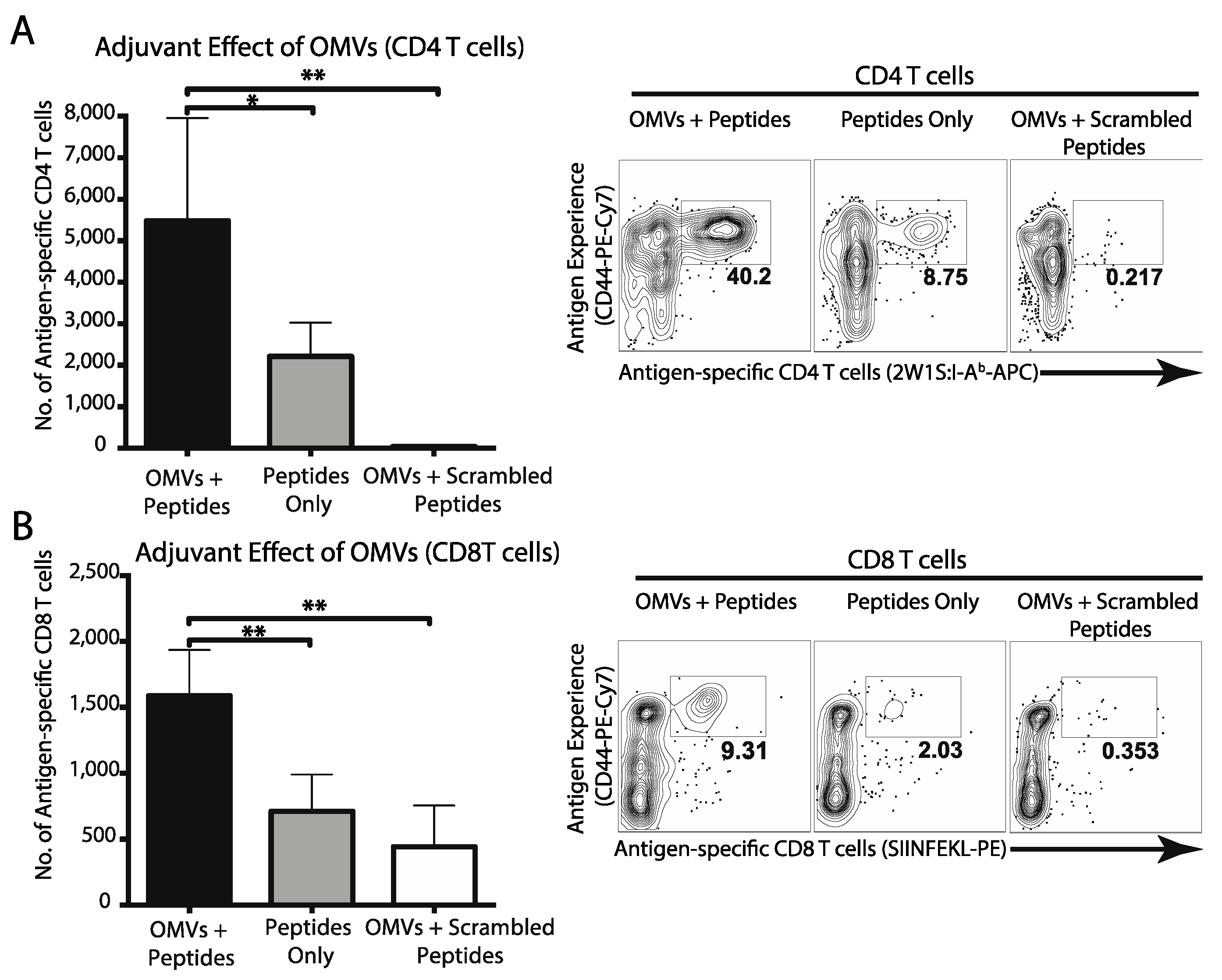 Pharmaceutics 13 00131 g003 Pharmaceutics 13 00131 g003