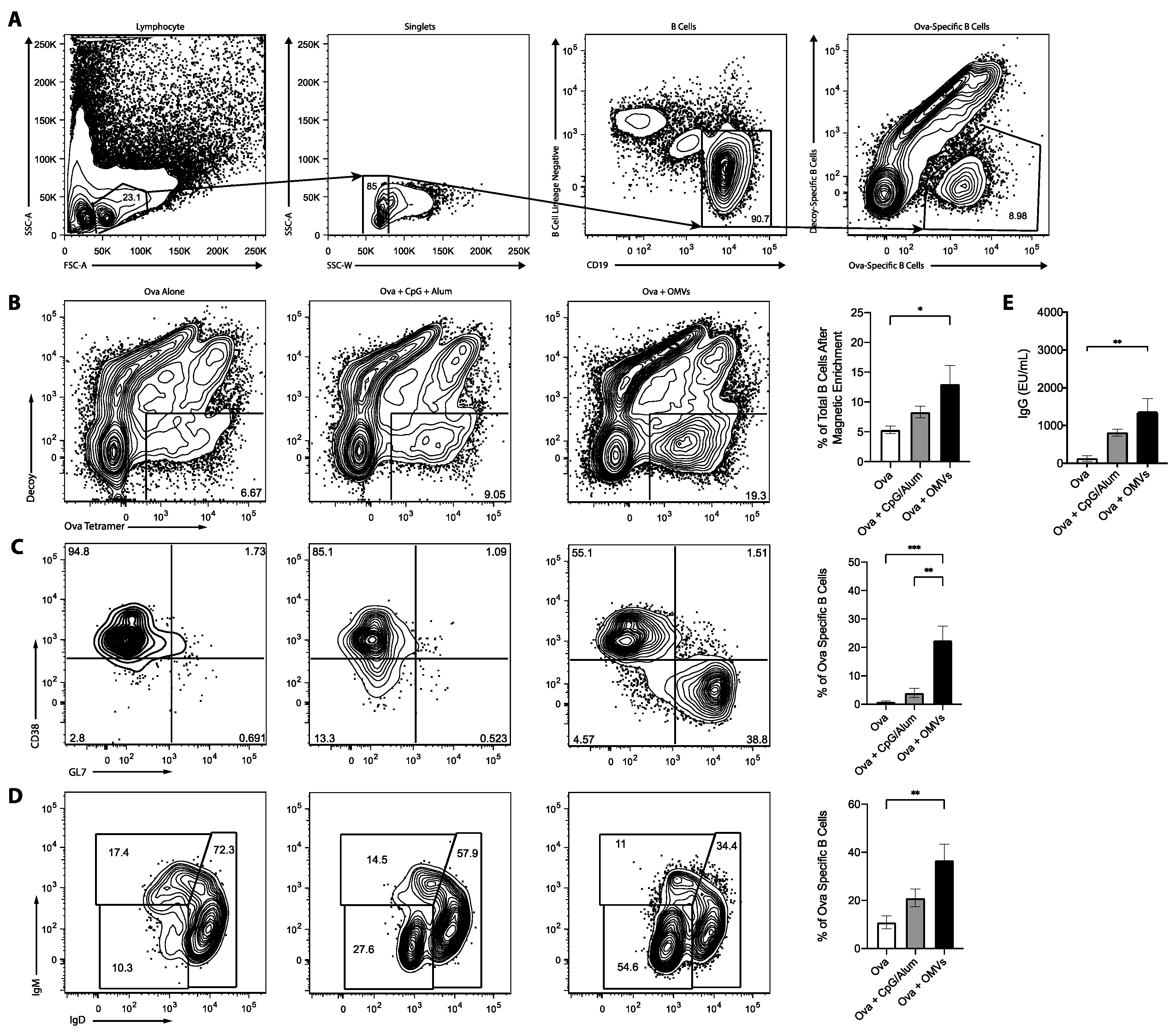 Pharmaceutics 13 00131 g004 Pharmaceutics 13 00131 g004