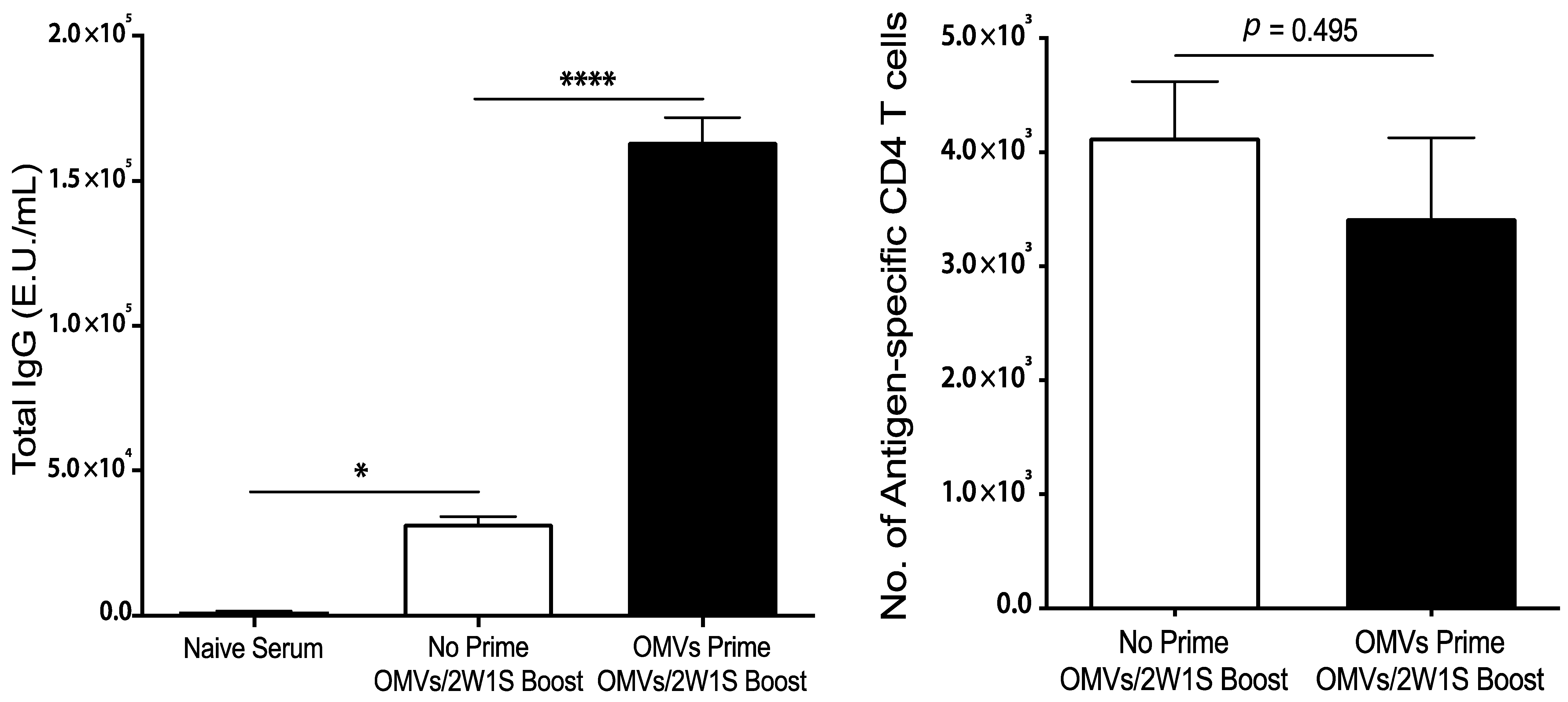 Pharmaceutics 13 00131 g005 Pharmaceutics 13 00131 g005
