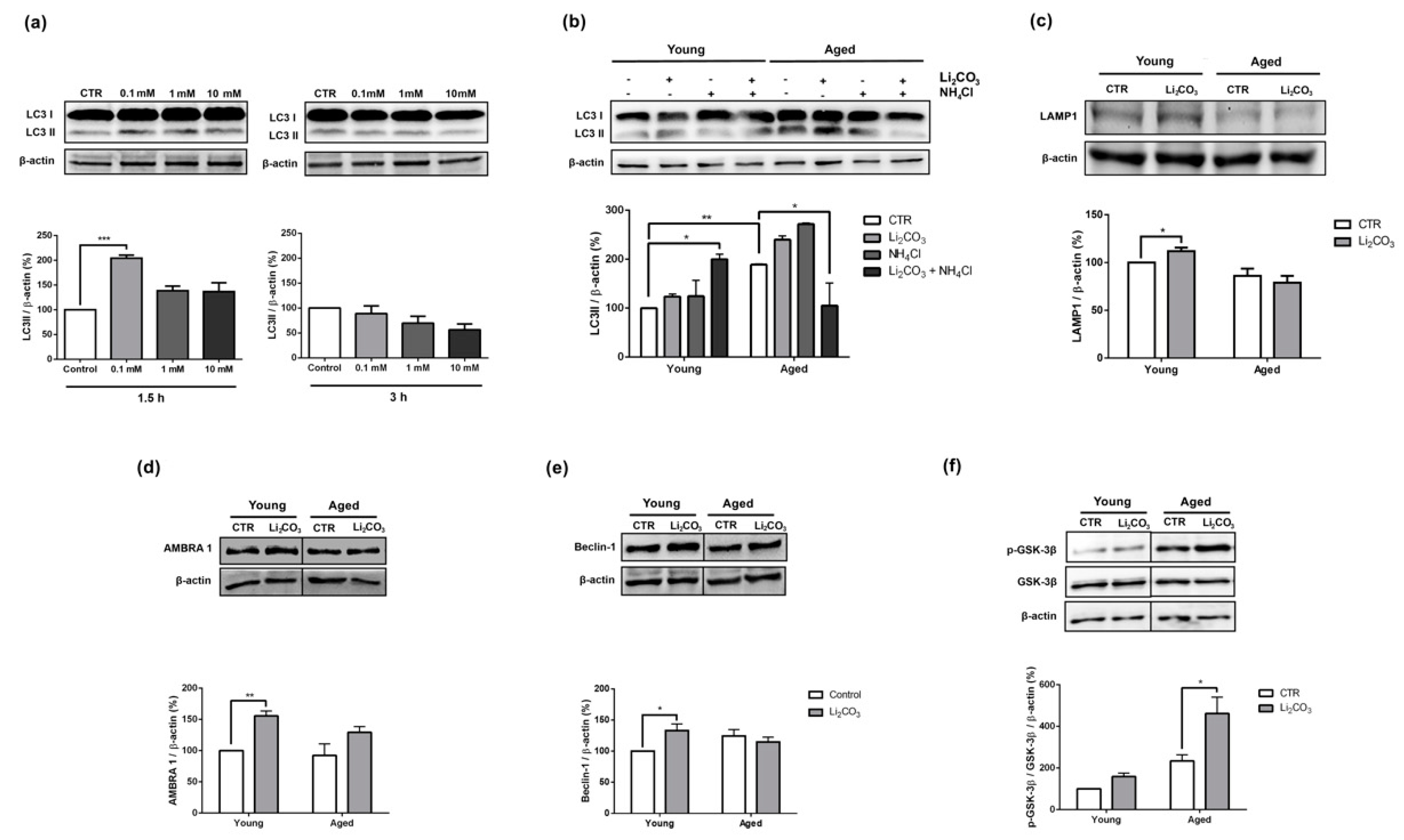 Pharmaceutics 13 00135 g001 Pharmaceutics 13 00135 g001