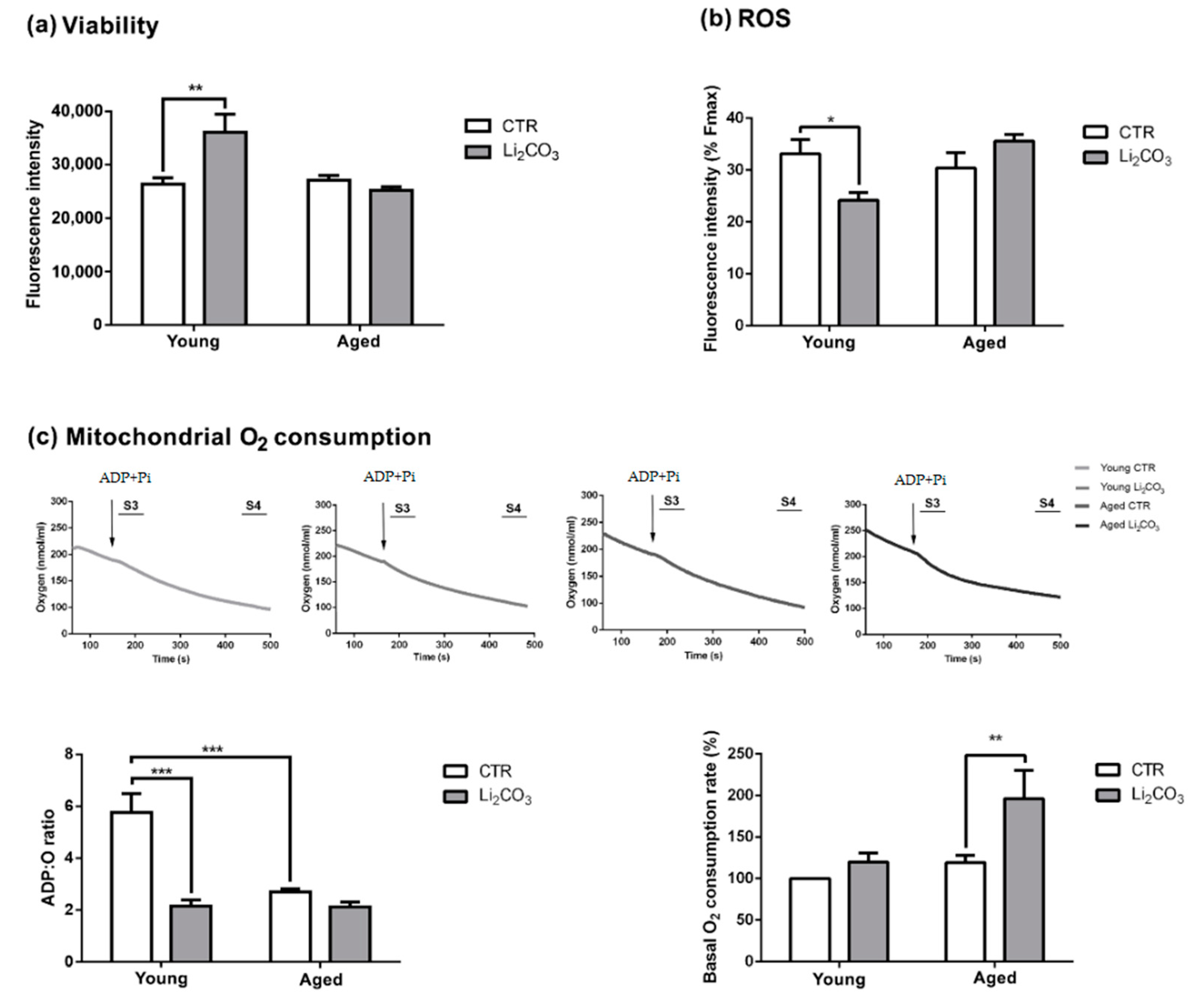 Pharmaceutics 13 00135 g002 Pharmaceutics 13 00135 g002