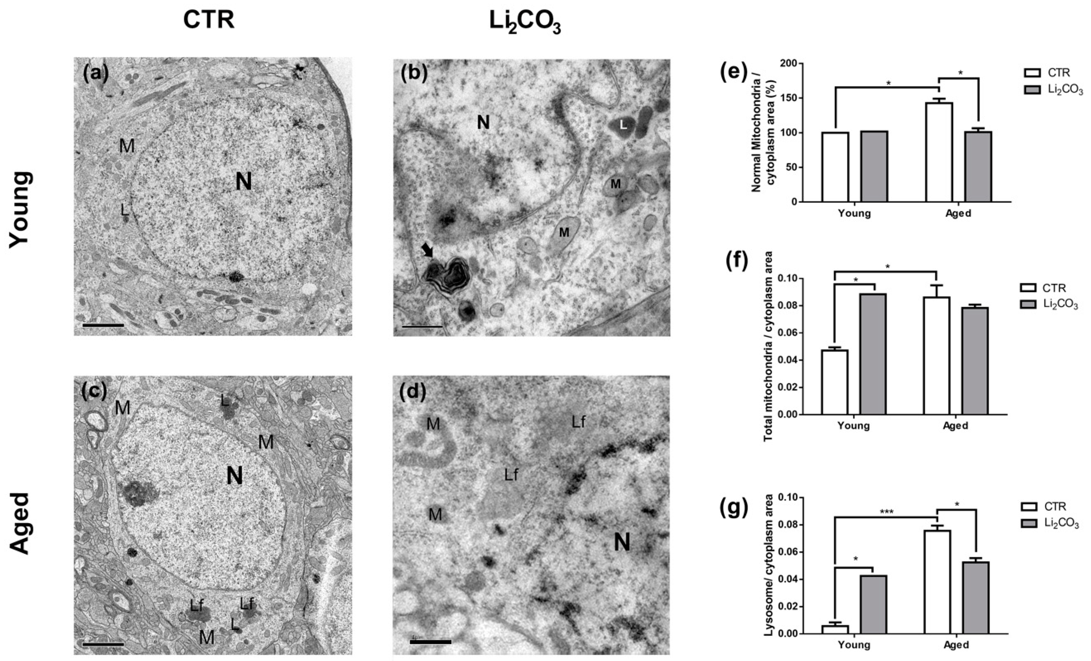 Pharmaceutics 13 00135 g003 Pharmaceutics 13 00135 g003