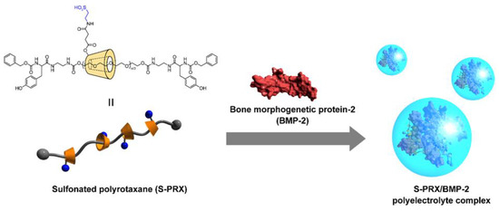 Cyclodextrin-Based Supramolecular Complexes of