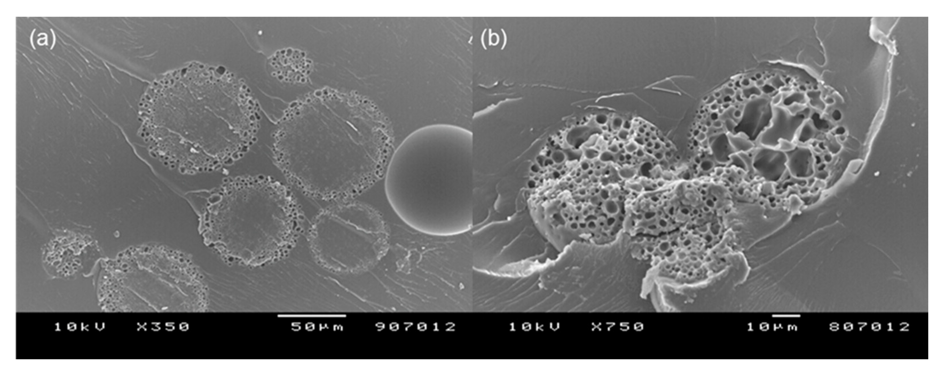 Pharmaceutics 13 00137 g010 Pharmaceutics 13 00137 g010