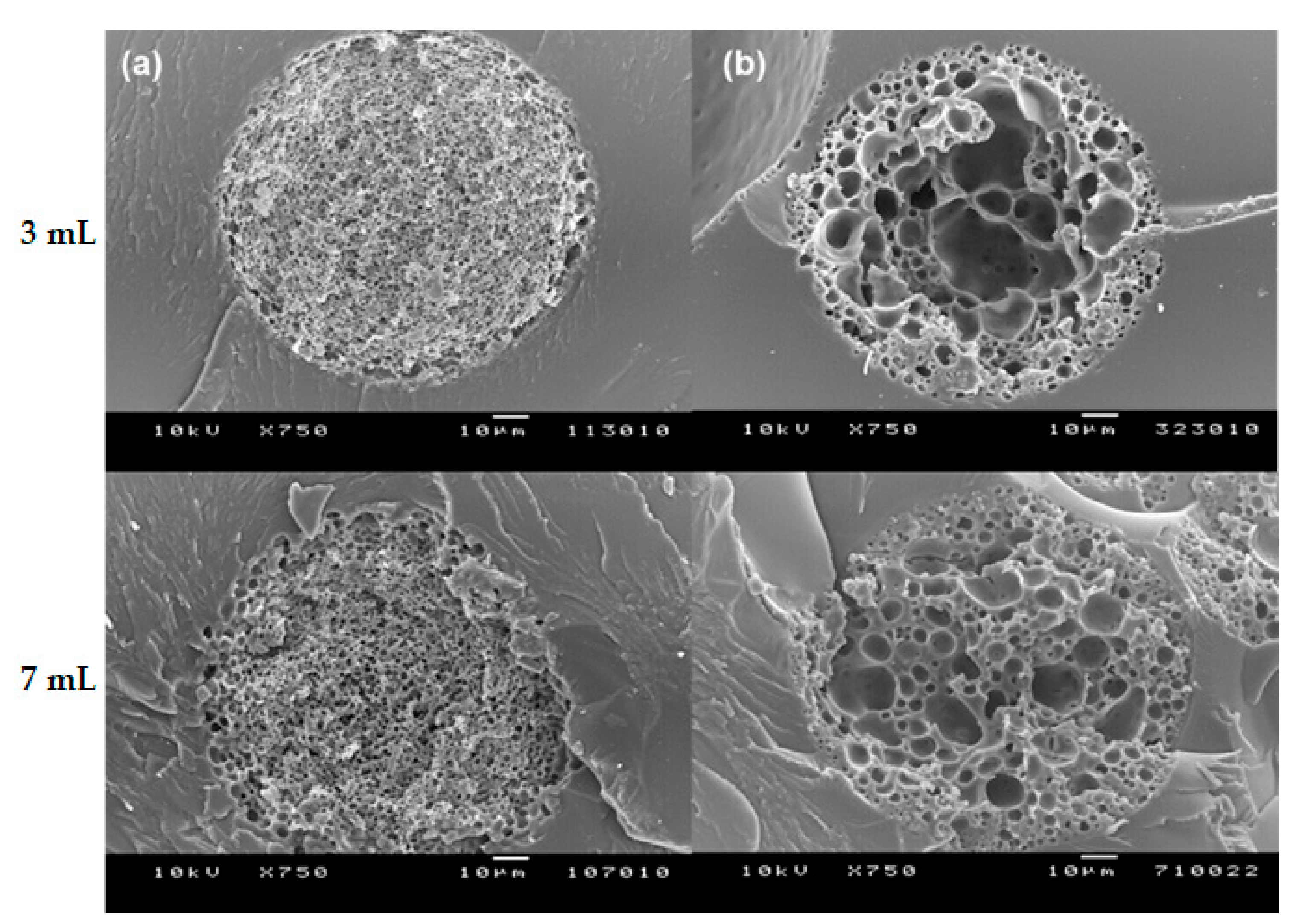 Pharmaceutics 13 00137 g011 Pharmaceutics 13 00137 g011