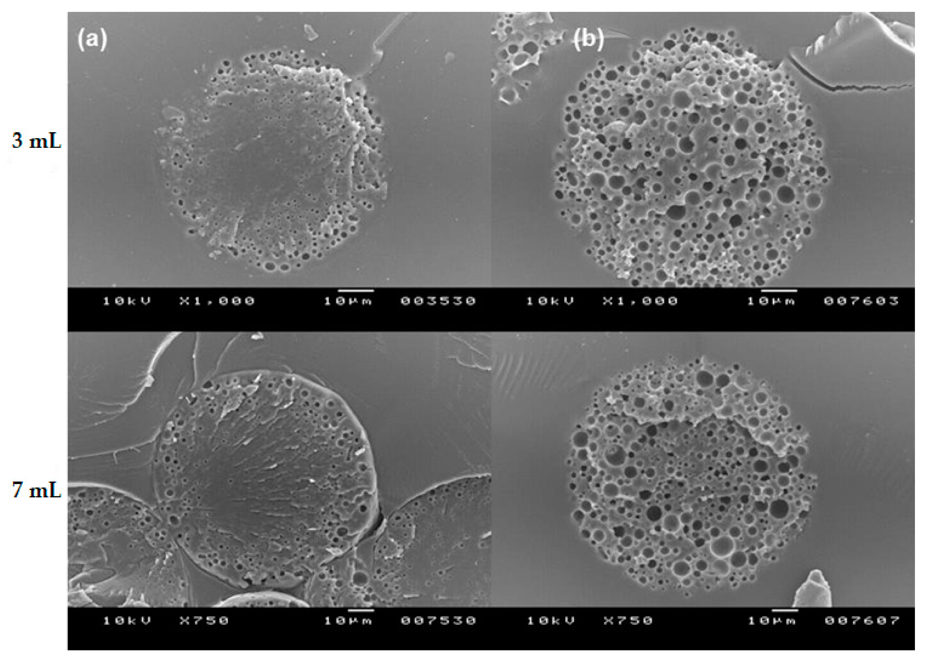 Pharmaceutics 13 00137 g012 Pharmaceutics 13 00137 g012